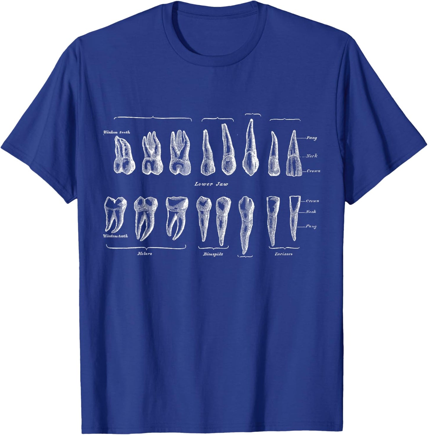 Human Teeth Dental Vintage Anatomy Retro Dentistry T-Shirt - T-Shirt | Royal
