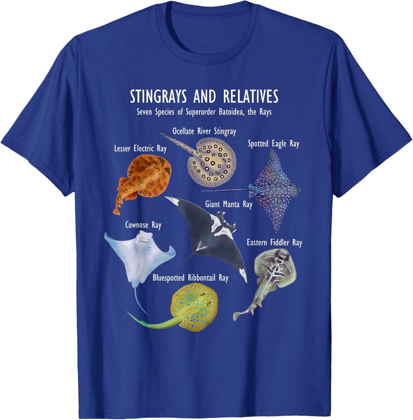 Stingray Species: Manta Ray, River Stingray, and More T-Shirt - T-Shirt | Royal