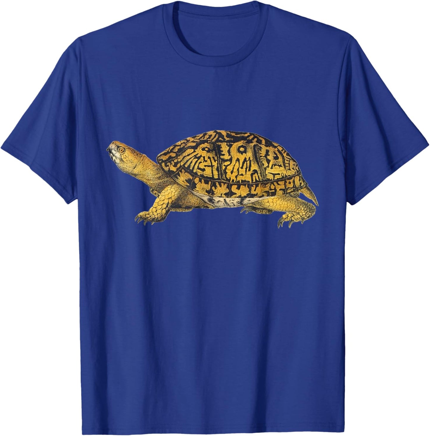Eastern Box Turtle T-Shirt - T-Shirt | Royal