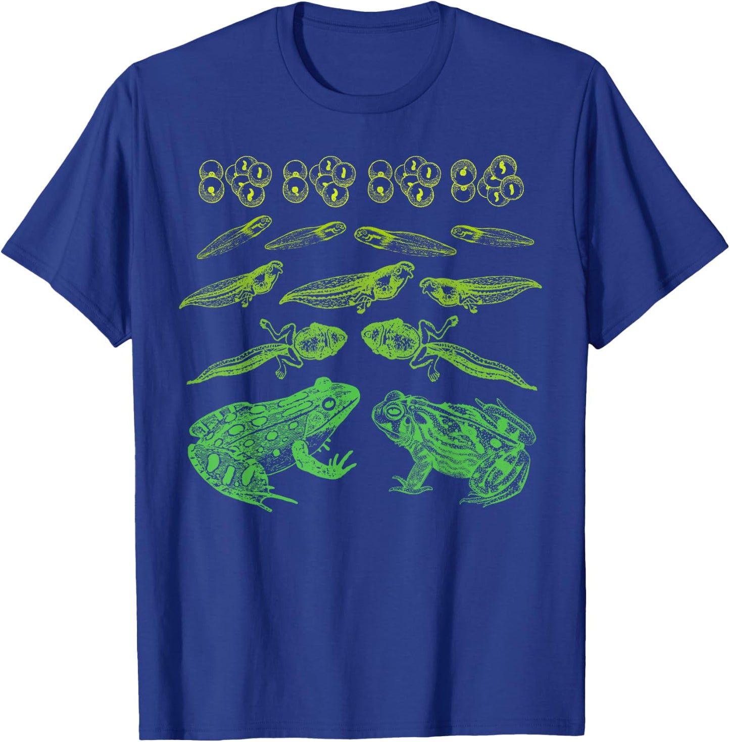 Frog Tadpole Life Cycle Biology Teacher Vintage Science T-Shirt - T-Shirt | Royal