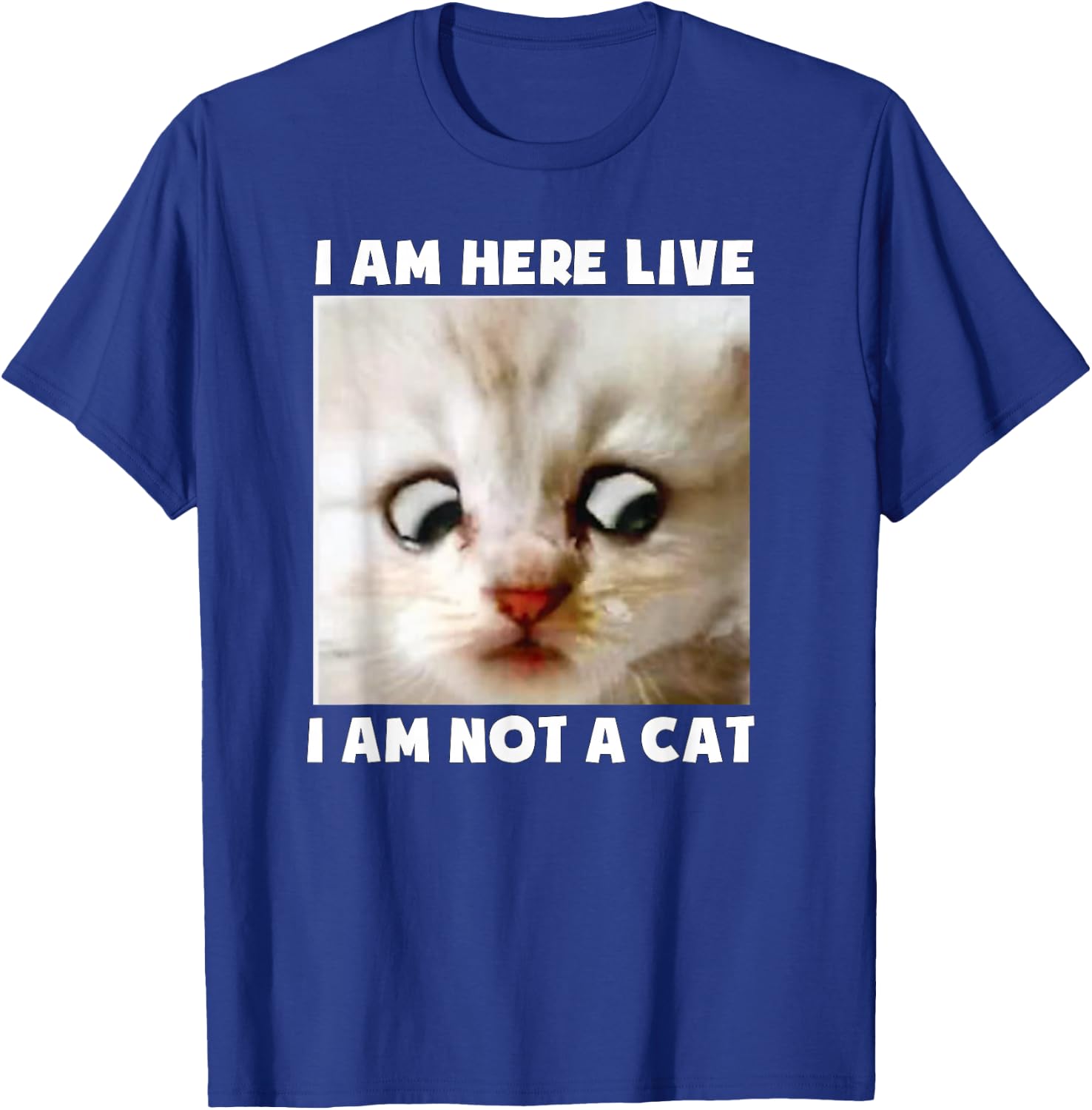 I Am Here Live I Am Not A Cat Funny Lawyer Cat Meme T-Shirt - T-Shirt | Royal