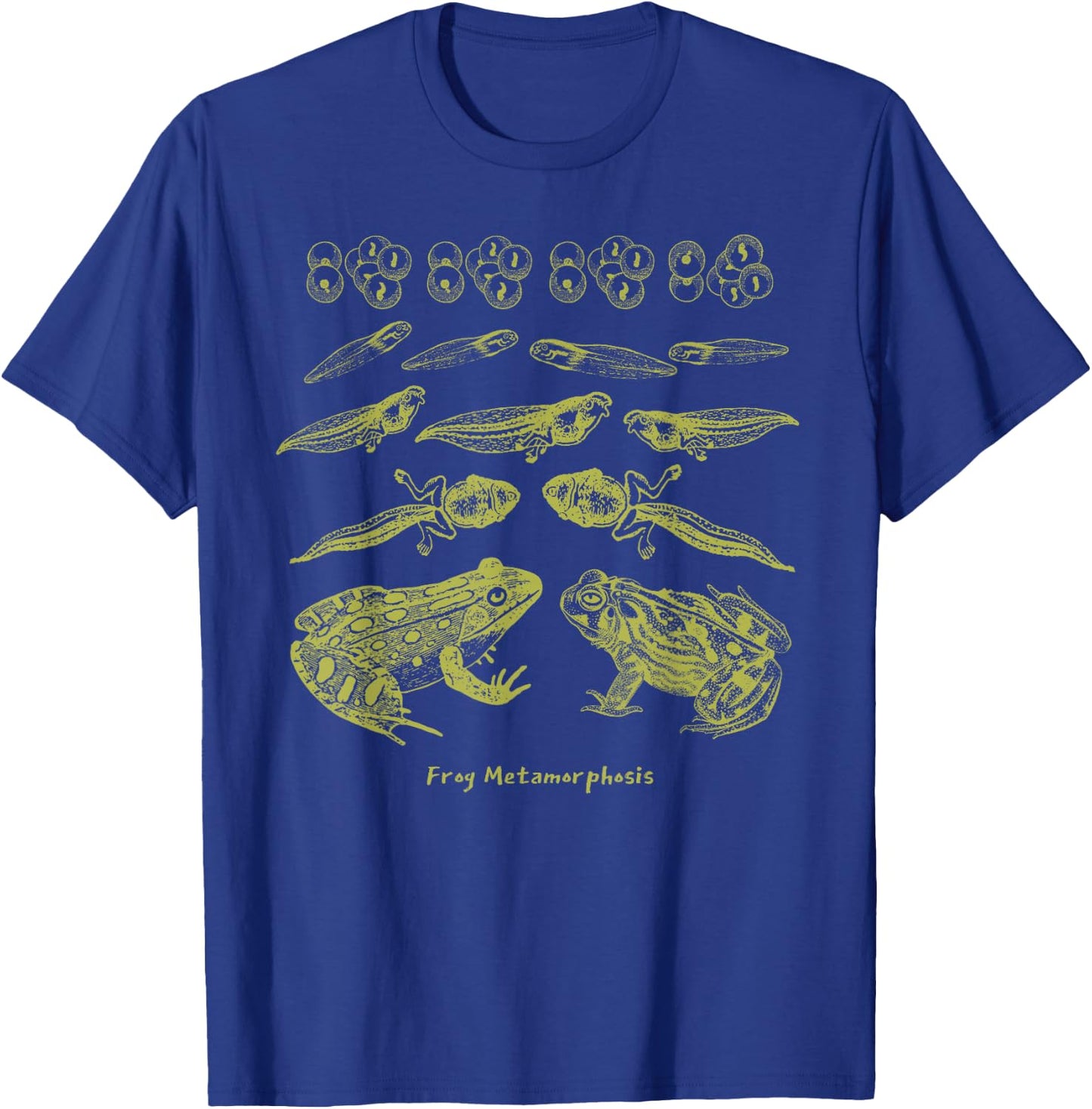 Frog Tadpole Life Cycle Biology Teacher Vintage Science T-Shirt - T-Shirt | Royal