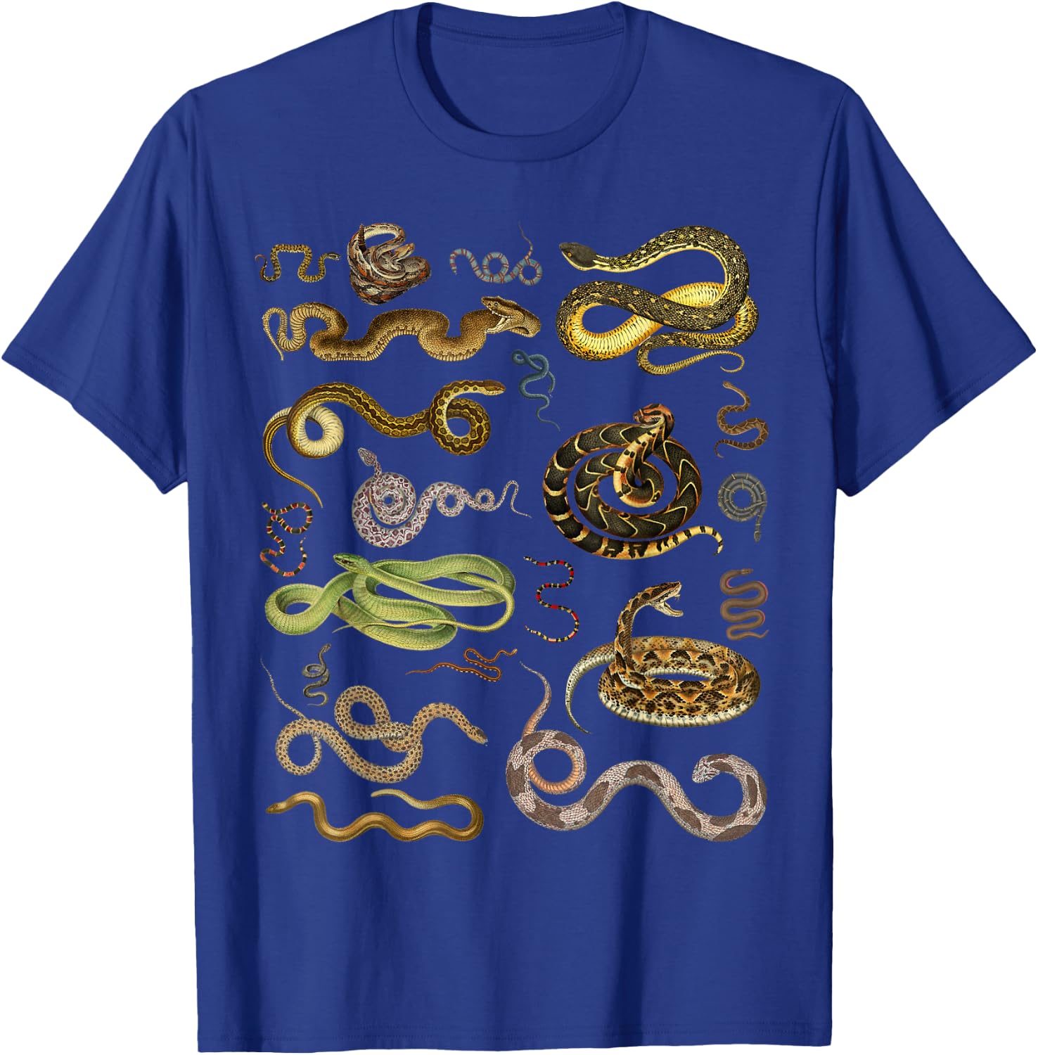 Types Of Snakes Herpetologist Educational Kids Boys Girls T-Shirt - T-Shirt | Royal