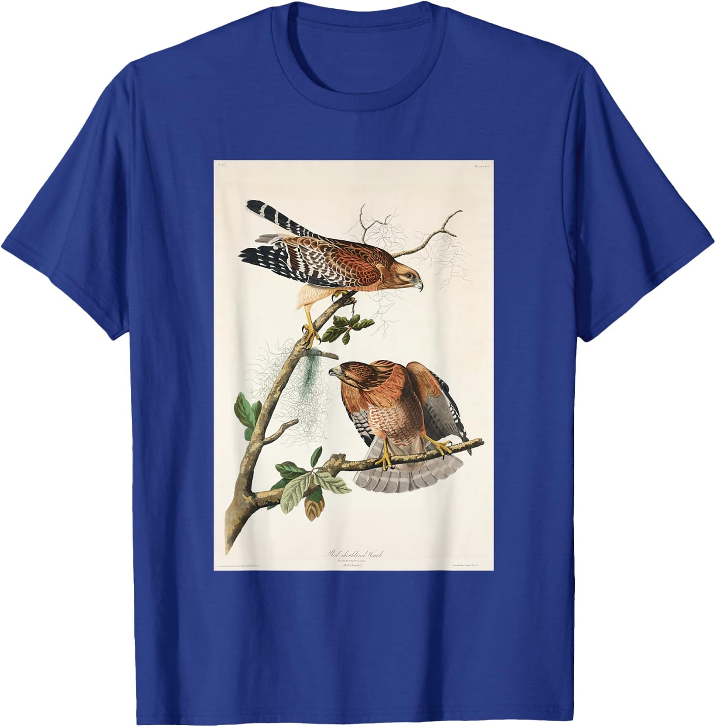 Vintage Red-Shouldered Hawks Birds Illustration Men & Women T-Shirt - T-Shirt | Royal