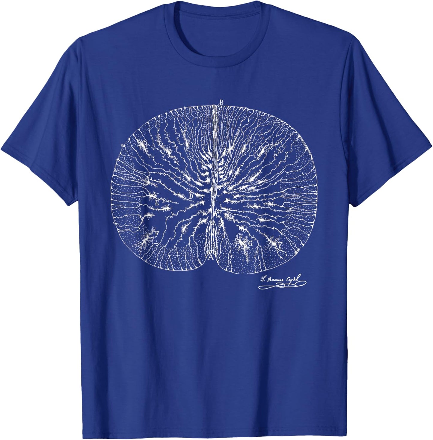 Brain Neuron Ramon y Cajal Illustration T-Shirt - T-Shirt | Royal