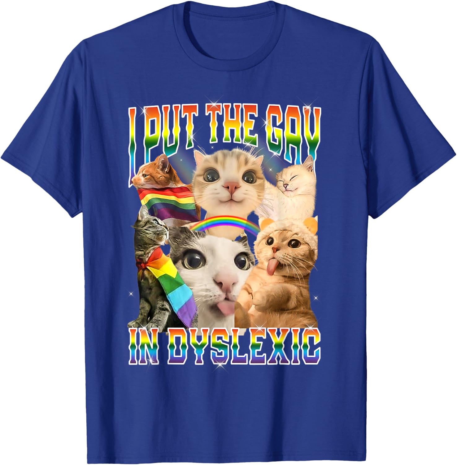 I Put The Gay in Dyslexic Funny Cat Meme Bootleg T-Shirt - T-Shirt | Royal