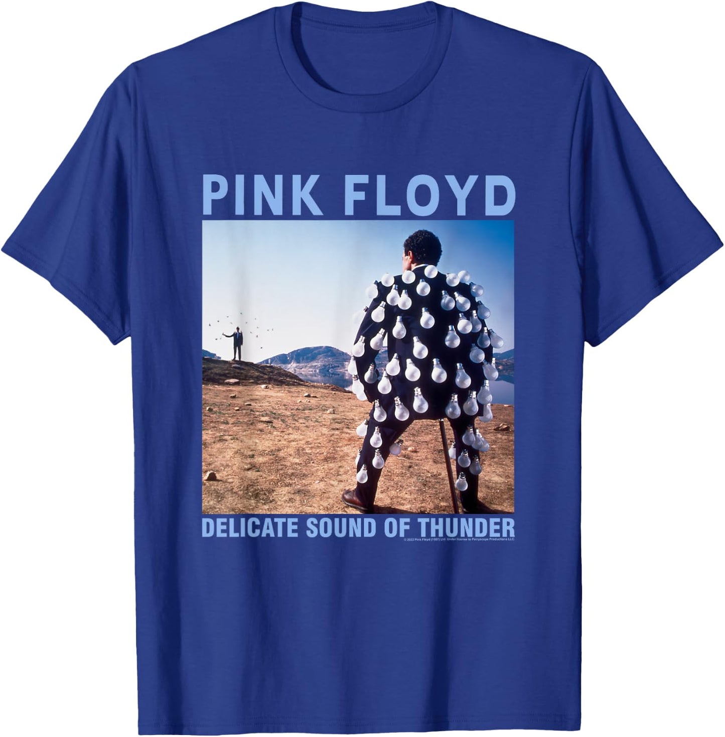 Pink Floyd Delicate Sound T-Shirt - T-Shirt | Royal