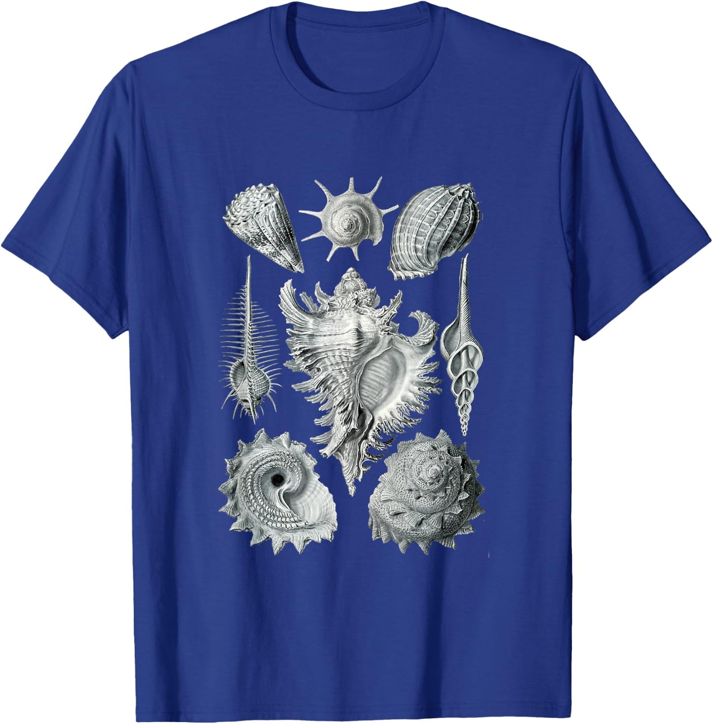 Sea Shells Botanical Ocean Vintage Scientific Drawing Art T-Shirt - T-Shirt | Royal