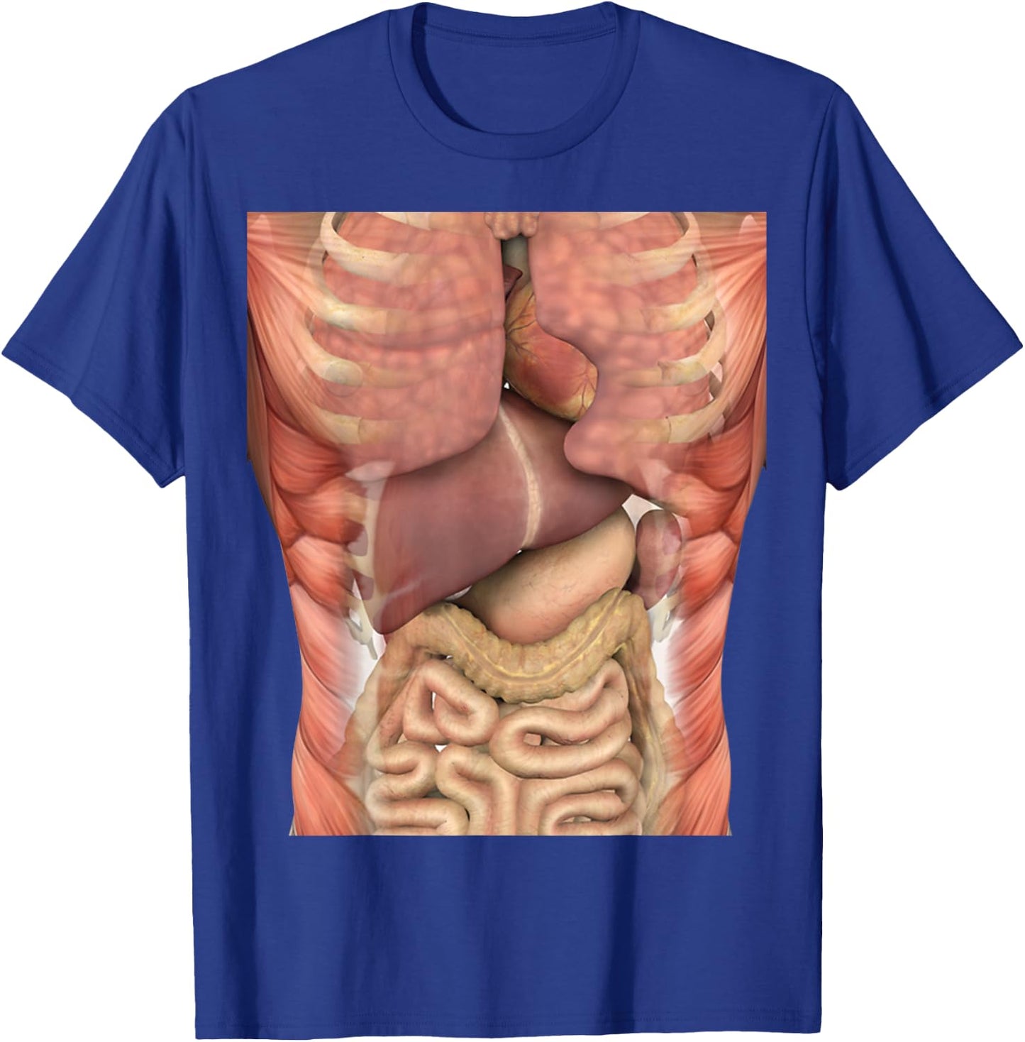 Human Muscles Organs Scary Anatomy Teacher Halloween Costume T-Shirt - T-Shirt | Royal