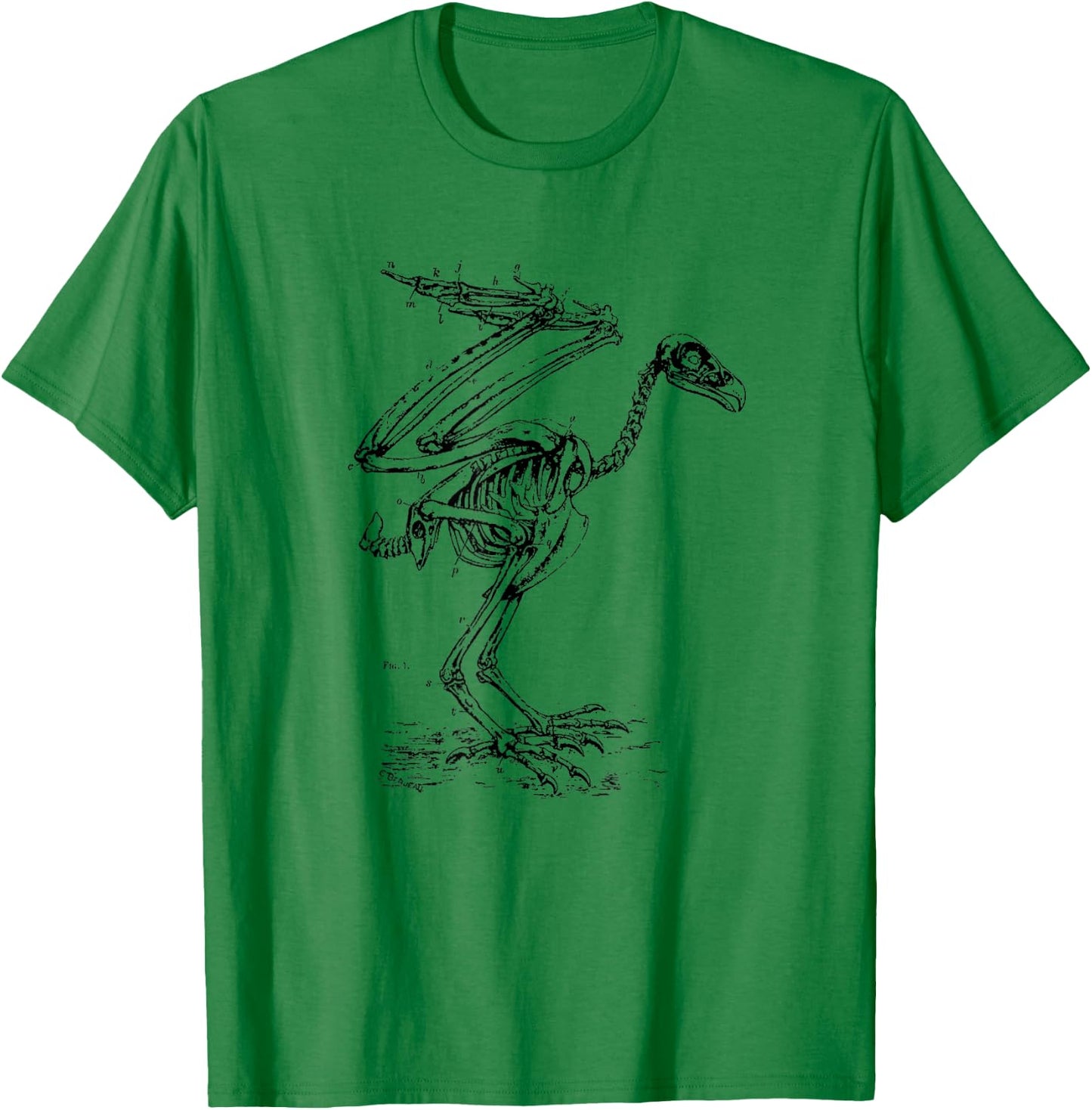 Vintage Eagle Skeleton - Scientific Diagram Bird Skull T-Shirt - T-Shirt | Irish Green