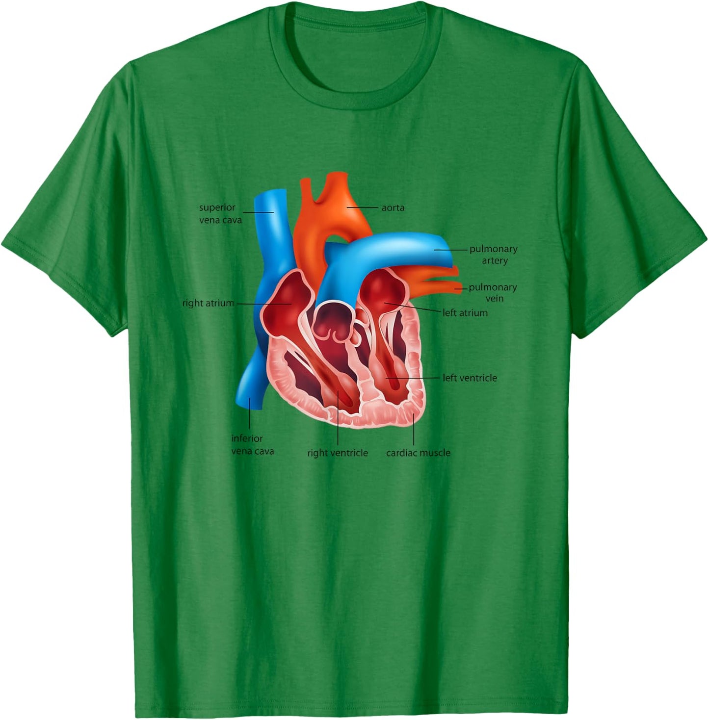 Funny Human Heart Anatomy Anatomical Heart T-Shirt - T-Shirt | Irish Green