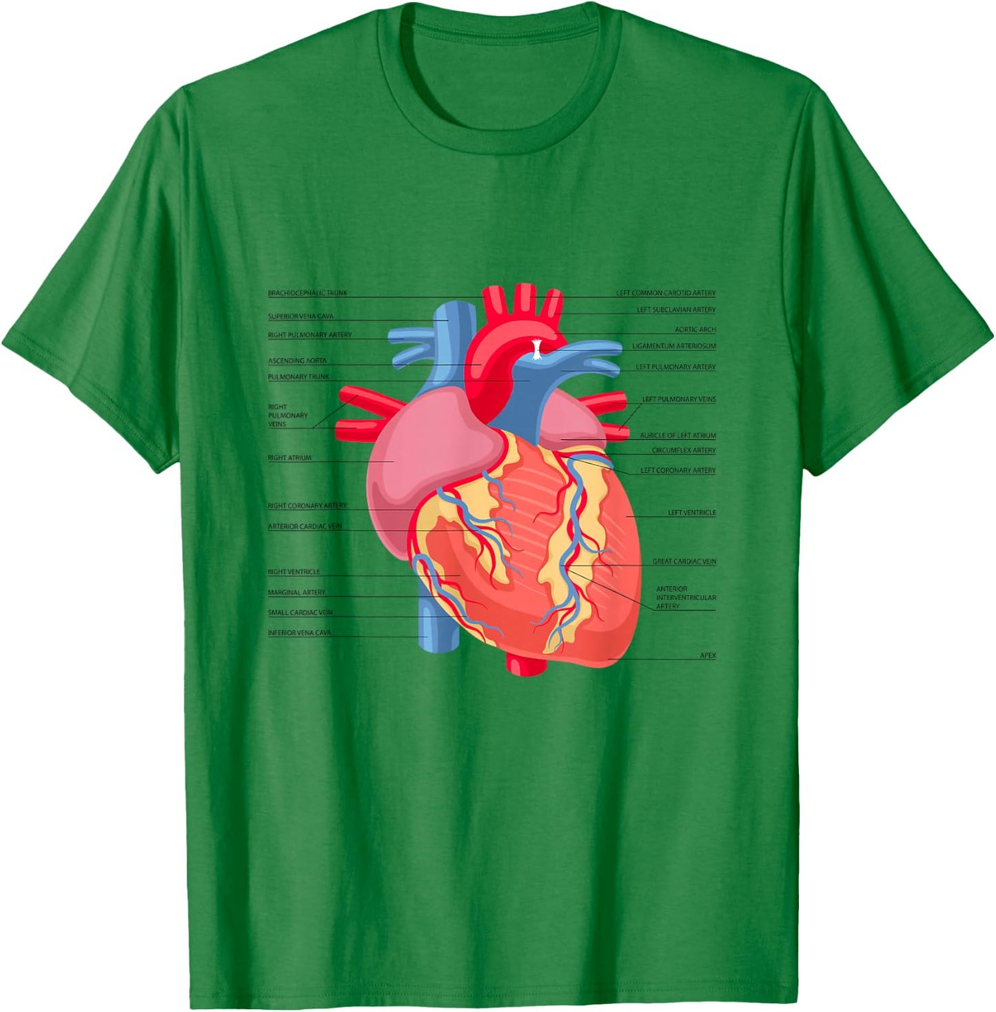 Funny Human Heart Anatomy Anatomical Heart T-Shirt - T-Shirt | Irish Green