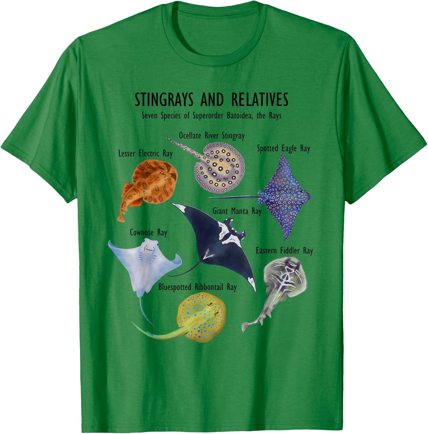 Stingray Species: Manta Ray, River Stingray, and More T-Shirt - T-Shirt | Irish Green