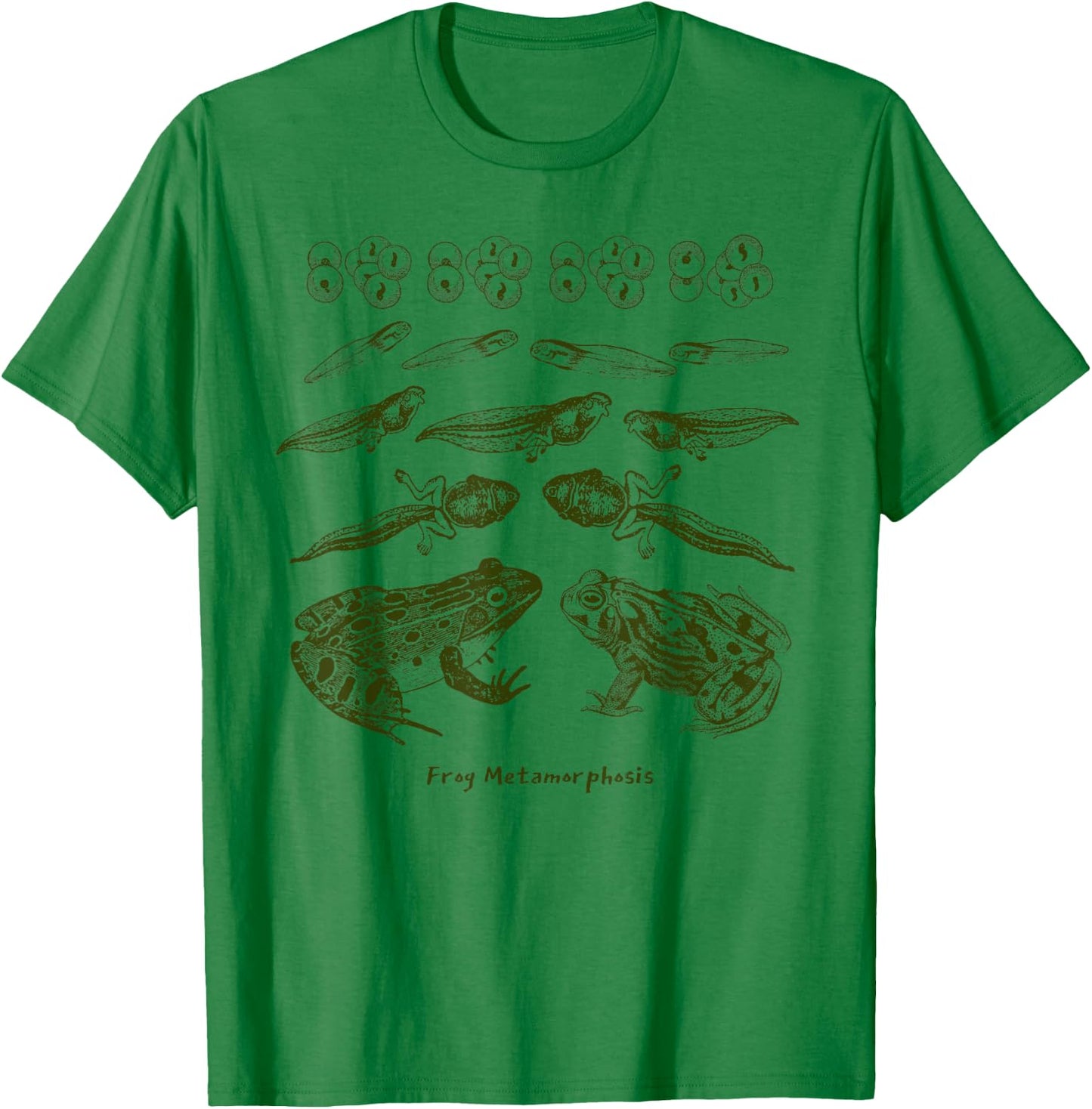 Frog Tadpole Life Cycle Metamorphosis Biology Science T-Shirt - T-Shirt | Irish Green