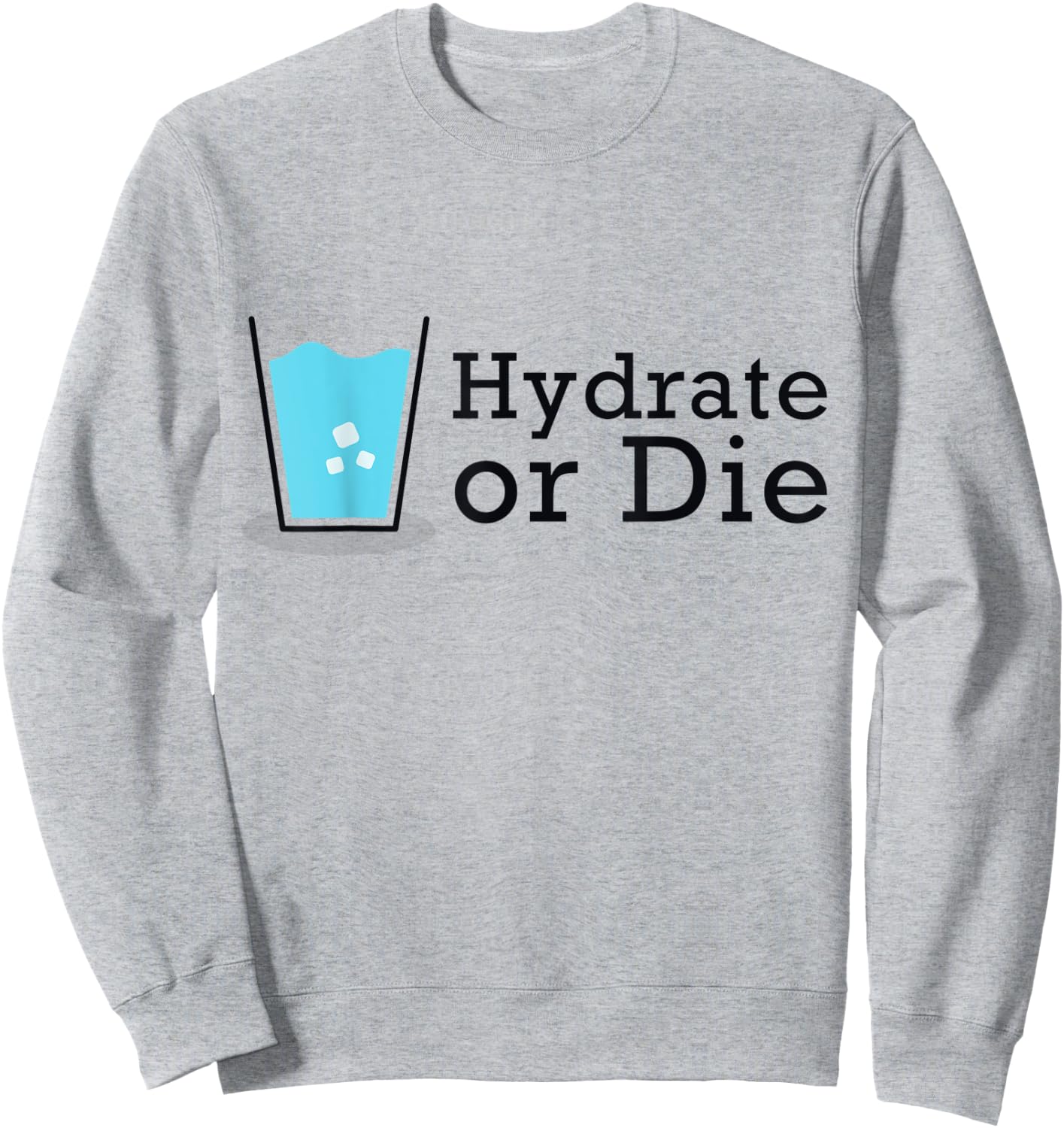 Hydrate or Die, Funny Workout Shirt, Drink Water Sweatshirt - Sweatshirt | Ash