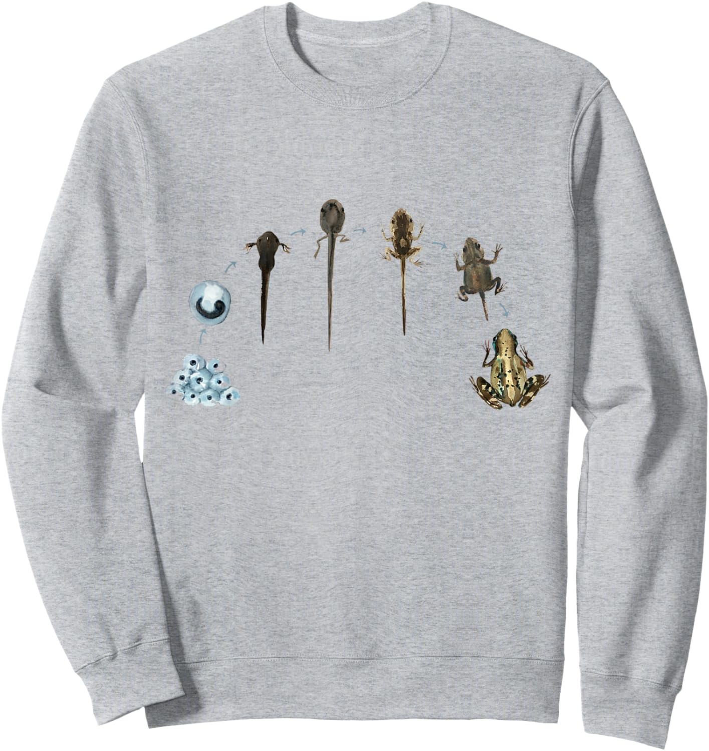 Frog Life Cycle Amphibian Frog Lover Biology Science Tadpole Sweatshirt - Sweatshirt | Ash