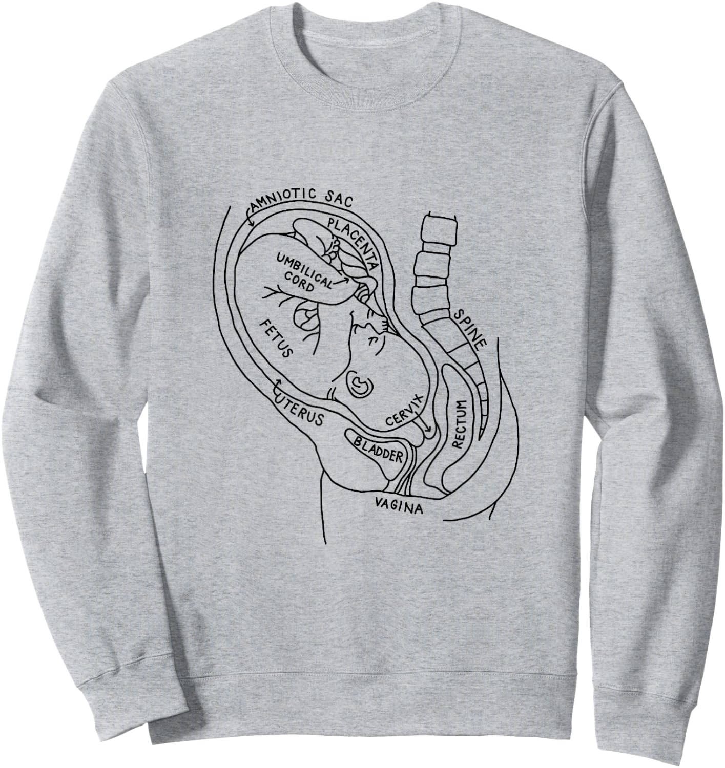 Pregnancy Anatomy Doula Midwife Mom Obstetrician OB GYN Sweatshirt - Sweatshirt | Ash