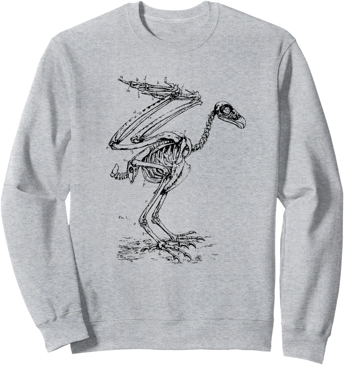 Vintage Eagle Skeleton - Scientific Diagram Bird Skull Sweatshirt - Sweatshirt | Ash