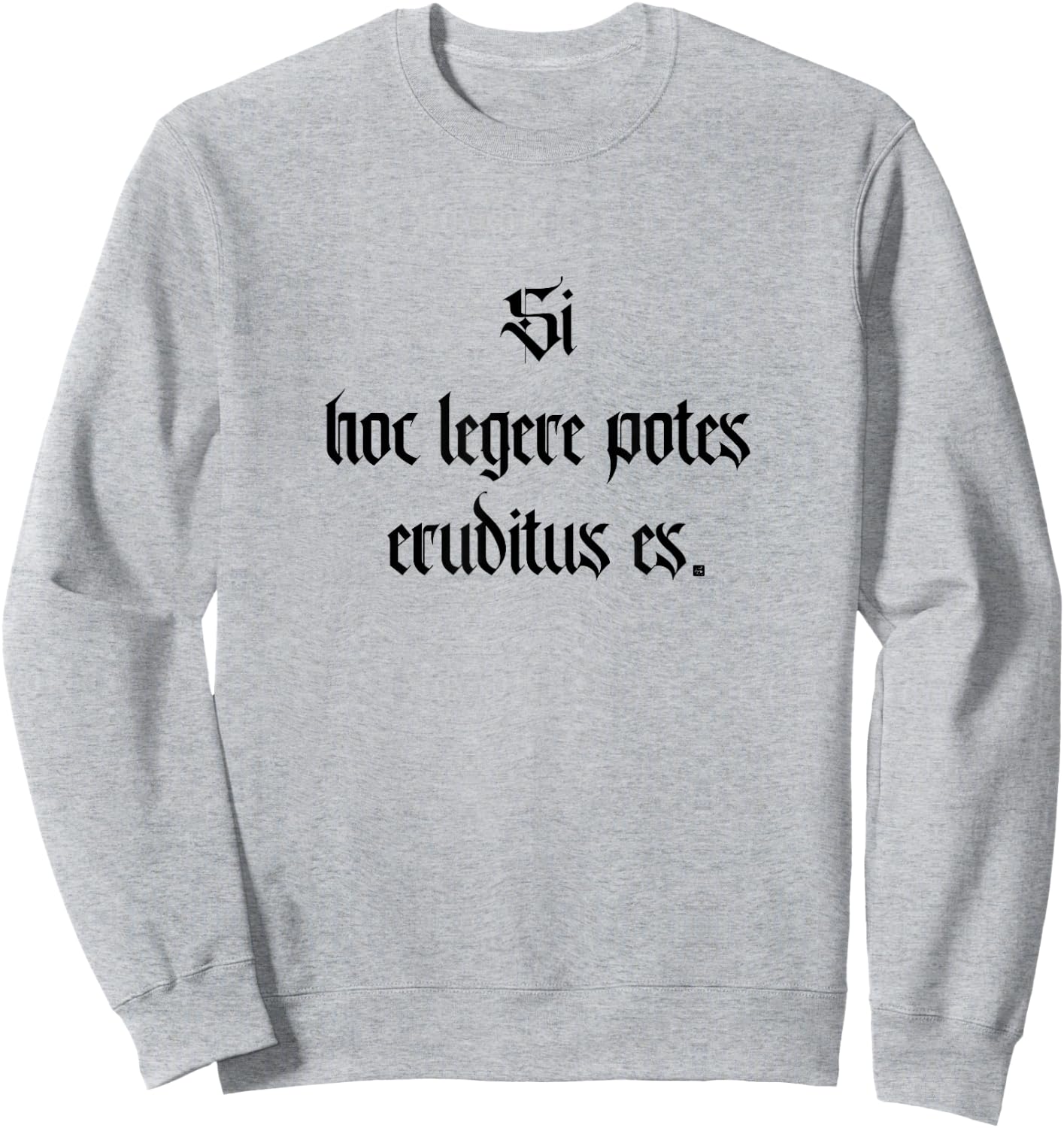If You Can Read This, You're Over-Educated Learn Latin Sweatshirt - Sweatshirt | Ash