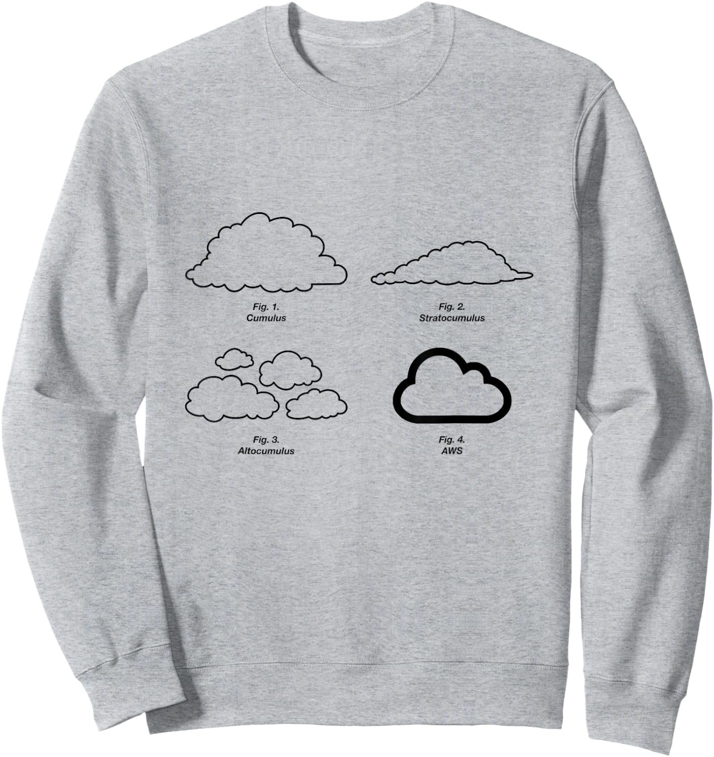 Types of Clouds Diagram - Cloud Server, AWS, Science - Funny Sweatshirt - Sweatshirt | Ash