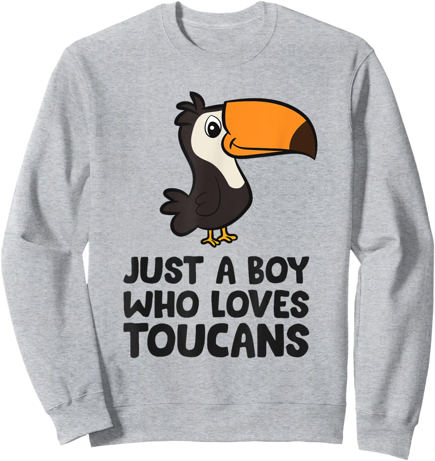 Just a Boy Who Loves Toucans Cute Toucan Bird Sweatshirt - Sweatshirt | Ash