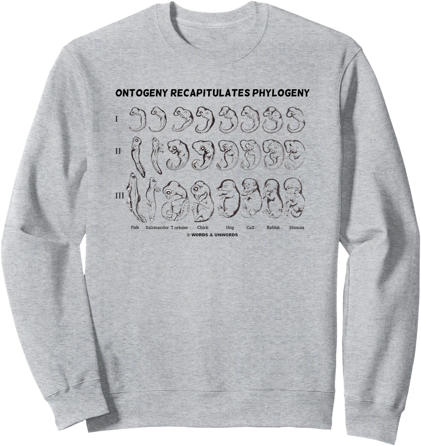 Ontogeny Recapitulates Phylogeny Ernest Haeckel Evolution Sweatshirt - Sweatshirt | Ash