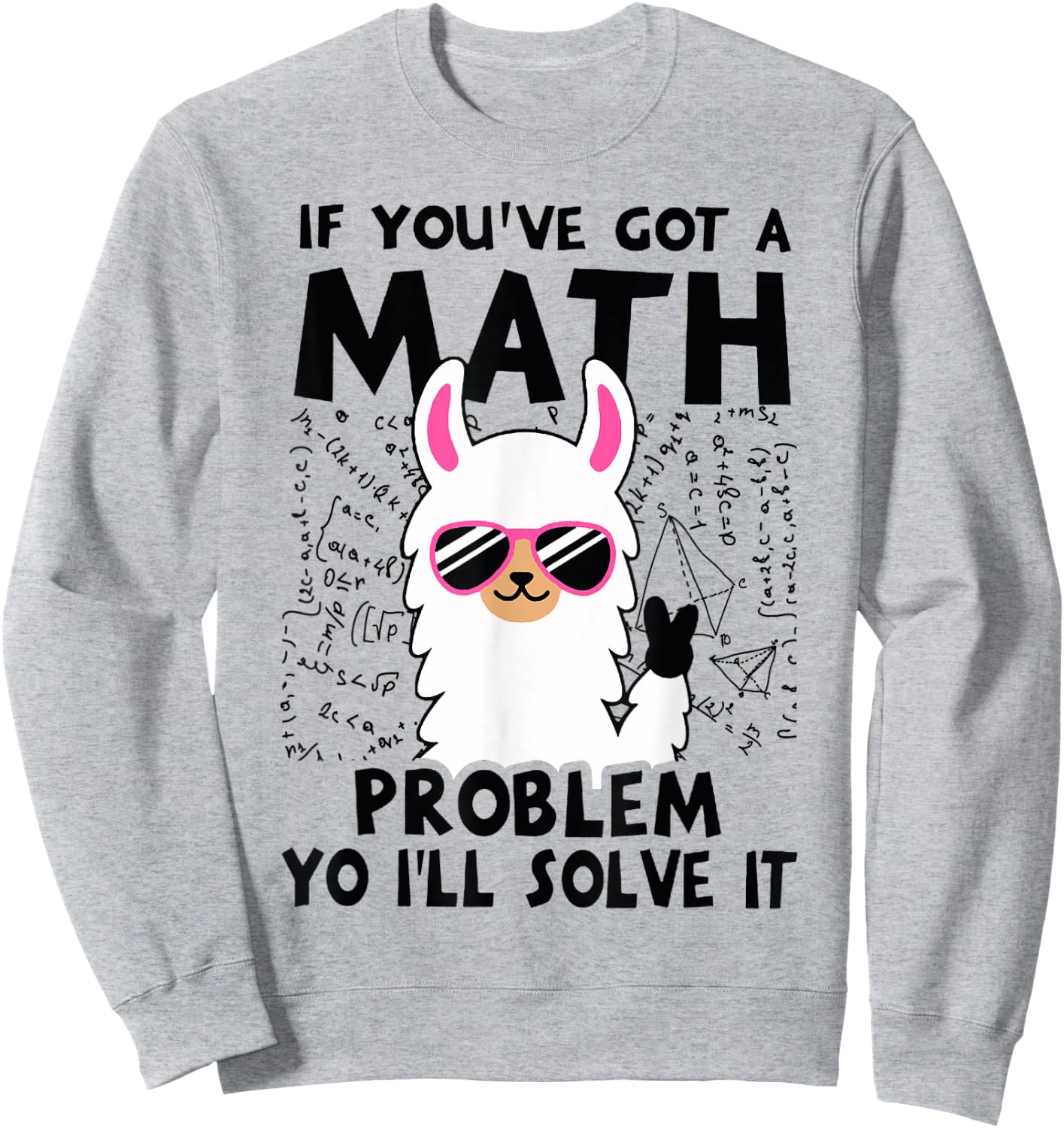 If You've Got A Math Problem Yo I'll Solve It Sweatshirt - Sweatshirt | Ash