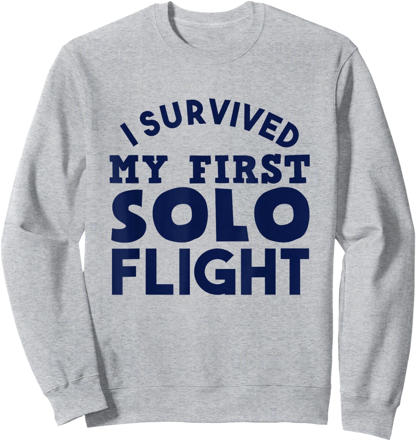 New Pilot I Survived My First Solo Flight Sweatshirt - Sweatshirt | Ash