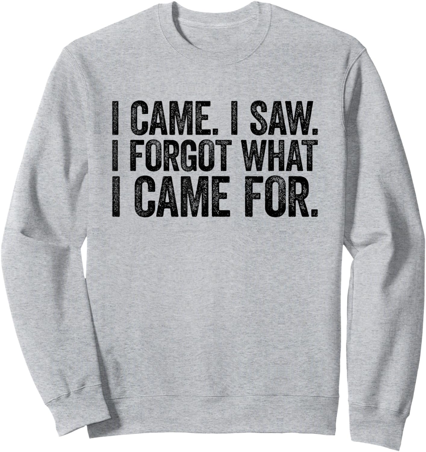 I Came I Saw I Forgot What I Came For Sweatshirt - Sweatshirt | Ash