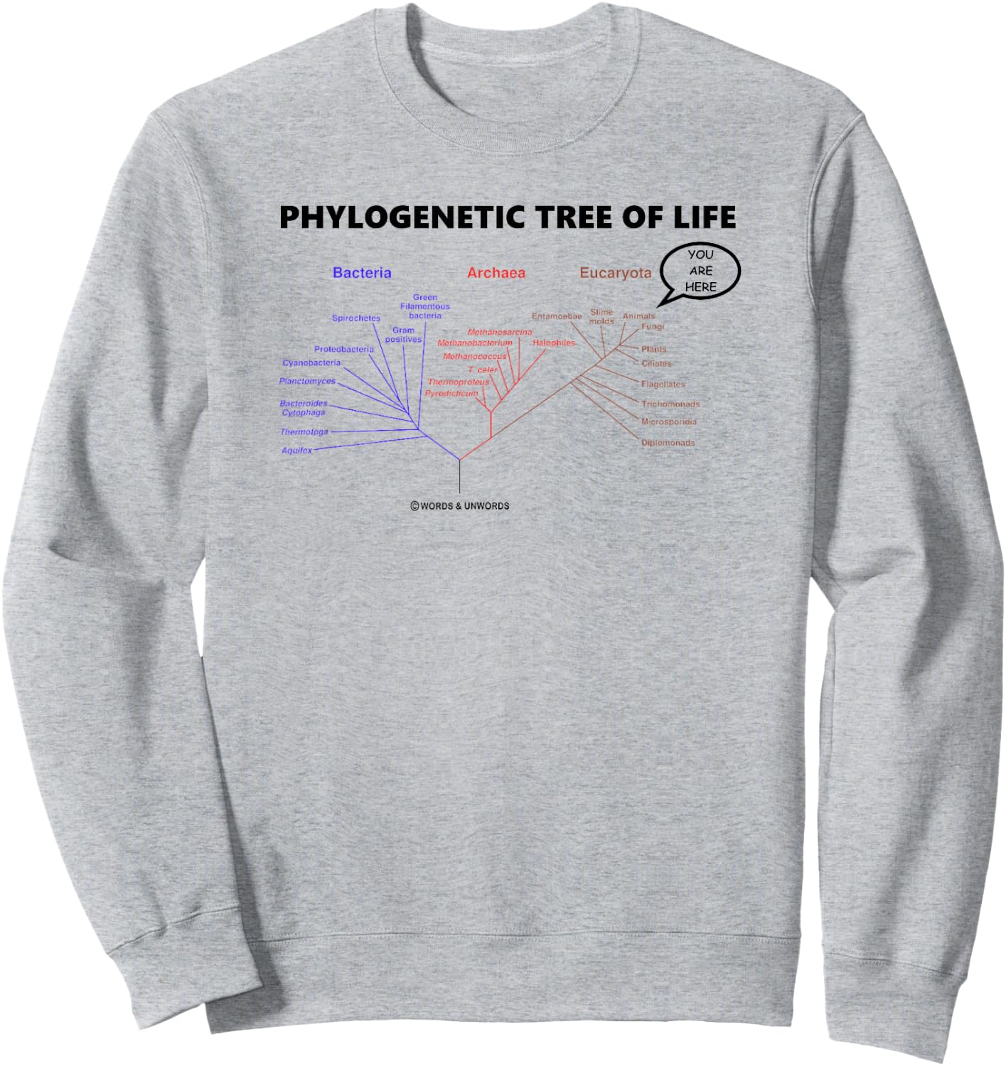 Phylogenetic Tree Of Life You Are Here Biology Geek Humor Sweatshirt - Sweatshirt | Ash