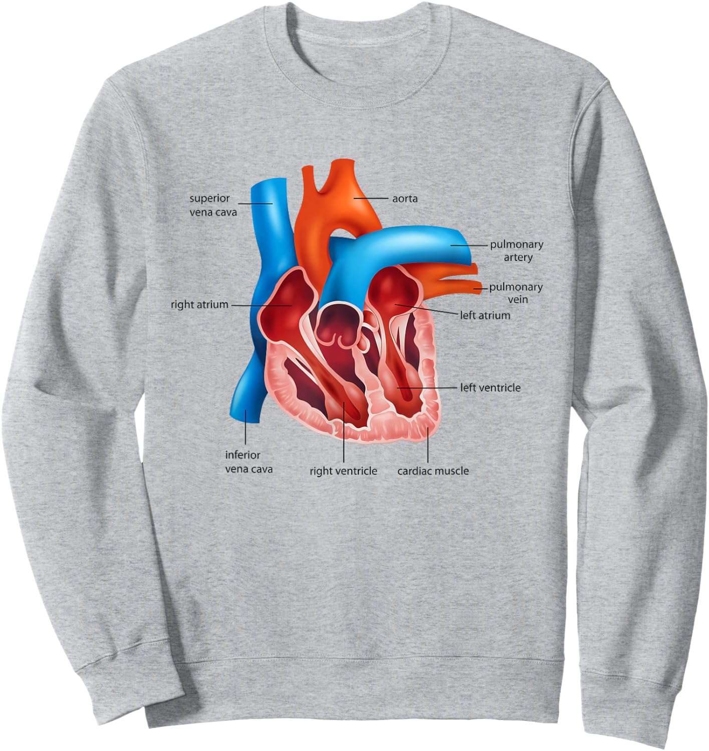 Funny Human Heart Anatomy Anatomical Heart Sweatshirt - Sweatshirt | Ash