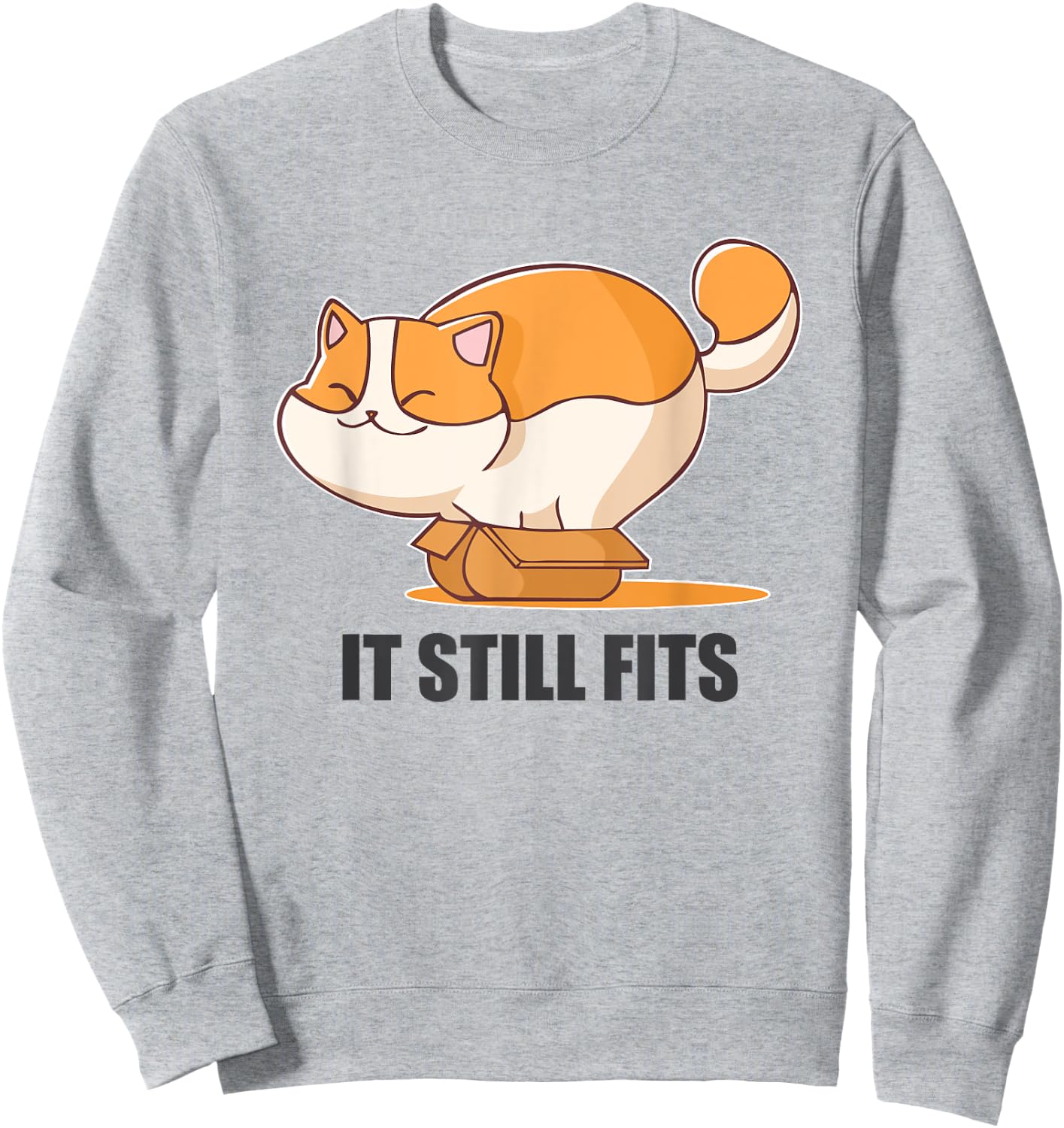 Cat In A Box Funny Fluffy Cat It Still Fits Shirt Sweatshirt - Sweatshirt | Ash