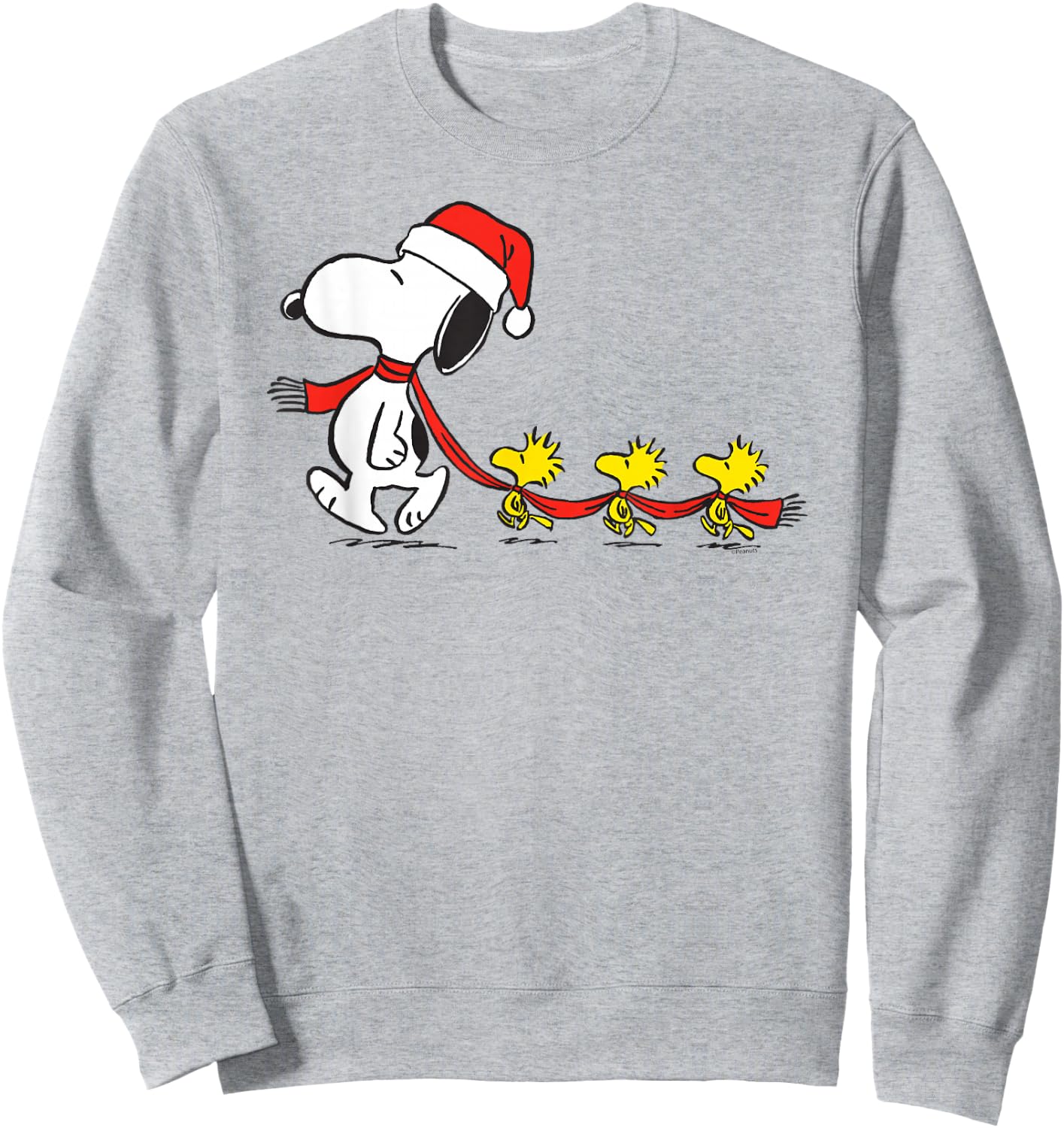 Peanuts Snoopy and Woodstock Holiday Short Sleeve Sweatshirt - Sweatshirt | Ash