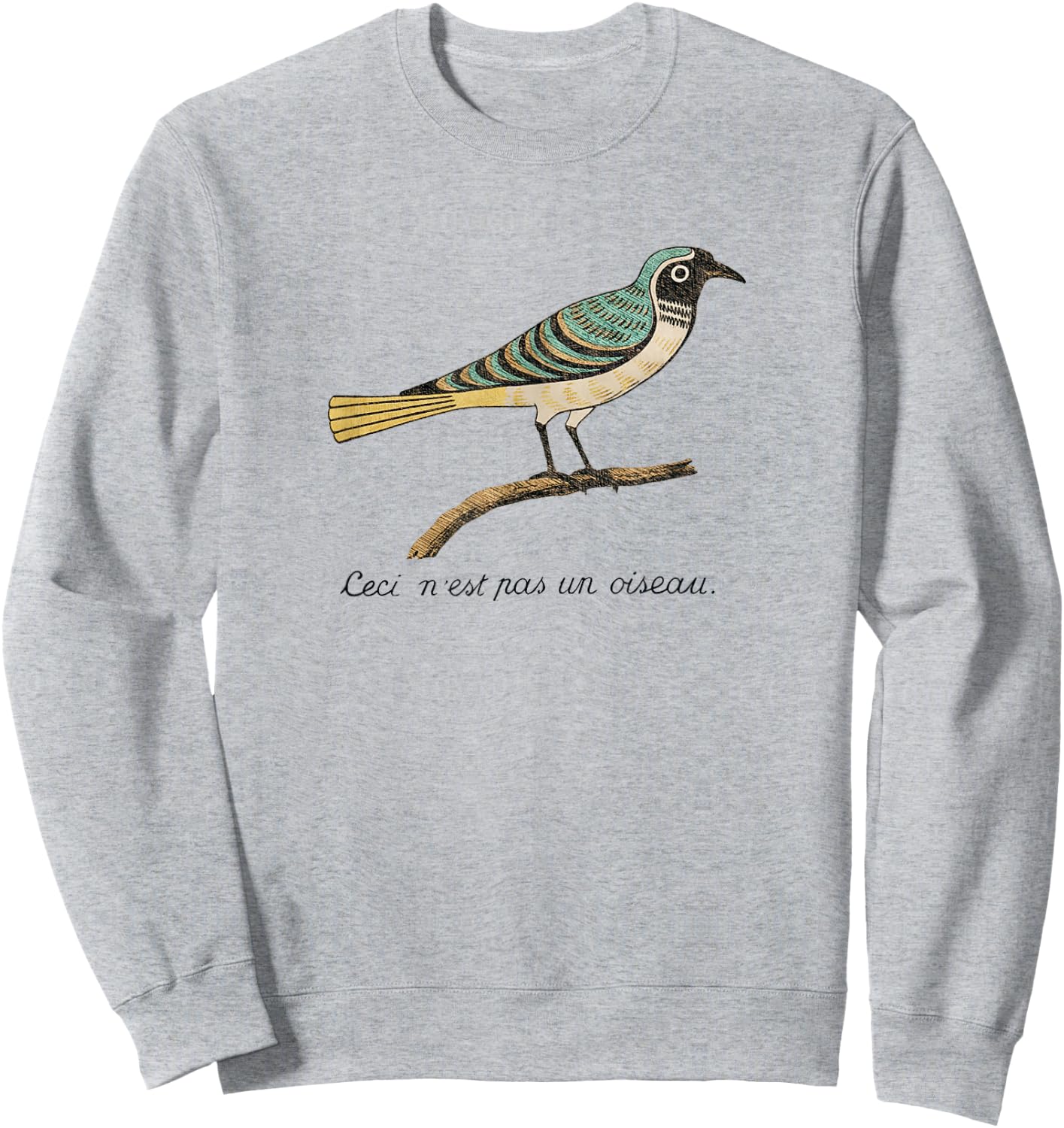Birds Aren't Real - Ceci n'est pas un oiseau Sweatshirt - Sweatshirt | Ash