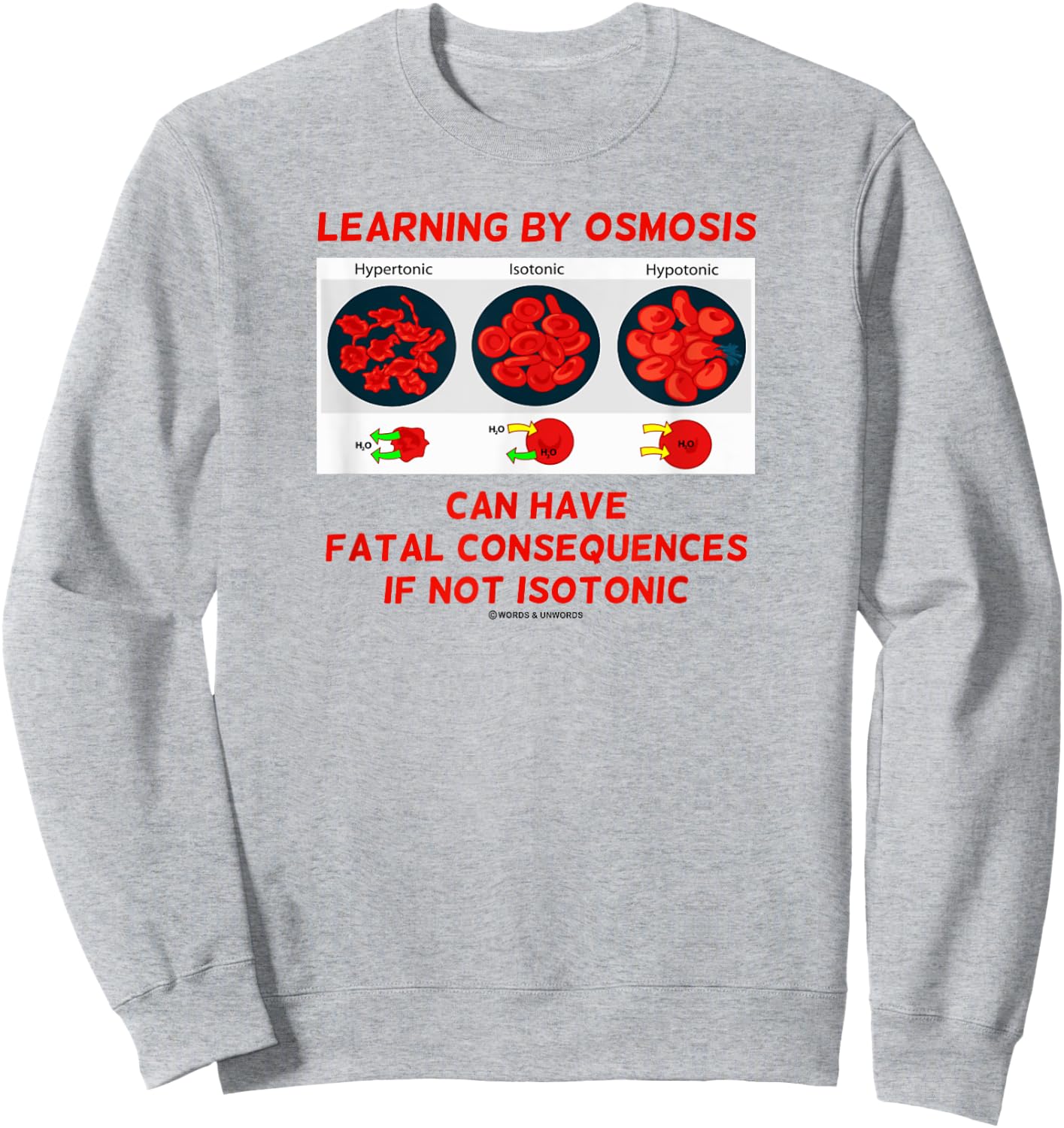 Learning By Osmosis Can Have Fatal Consequences Not Isotonic Sweatshirt - Sweatshirt | Ash