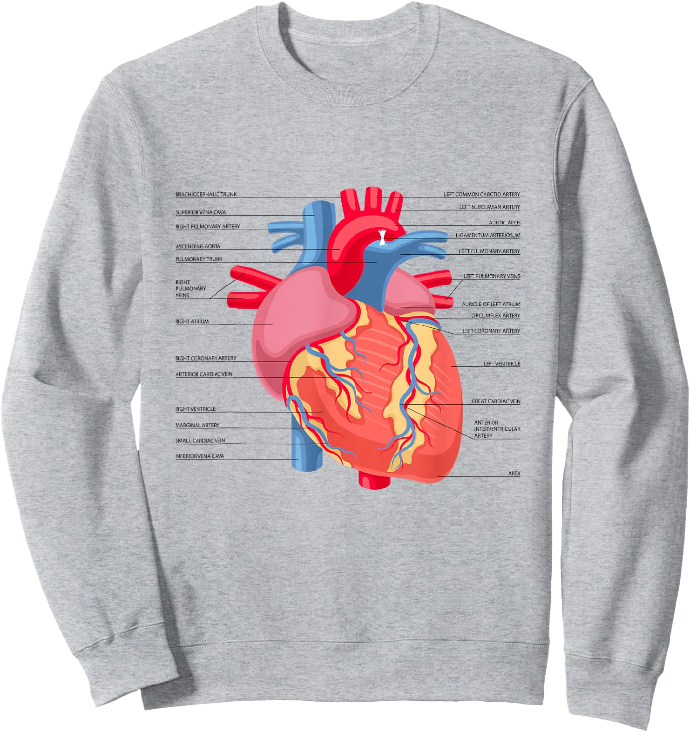 Funny Human Heart Anatomy Anatomical Heart Sweatshirt - Sweatshirt | Ash