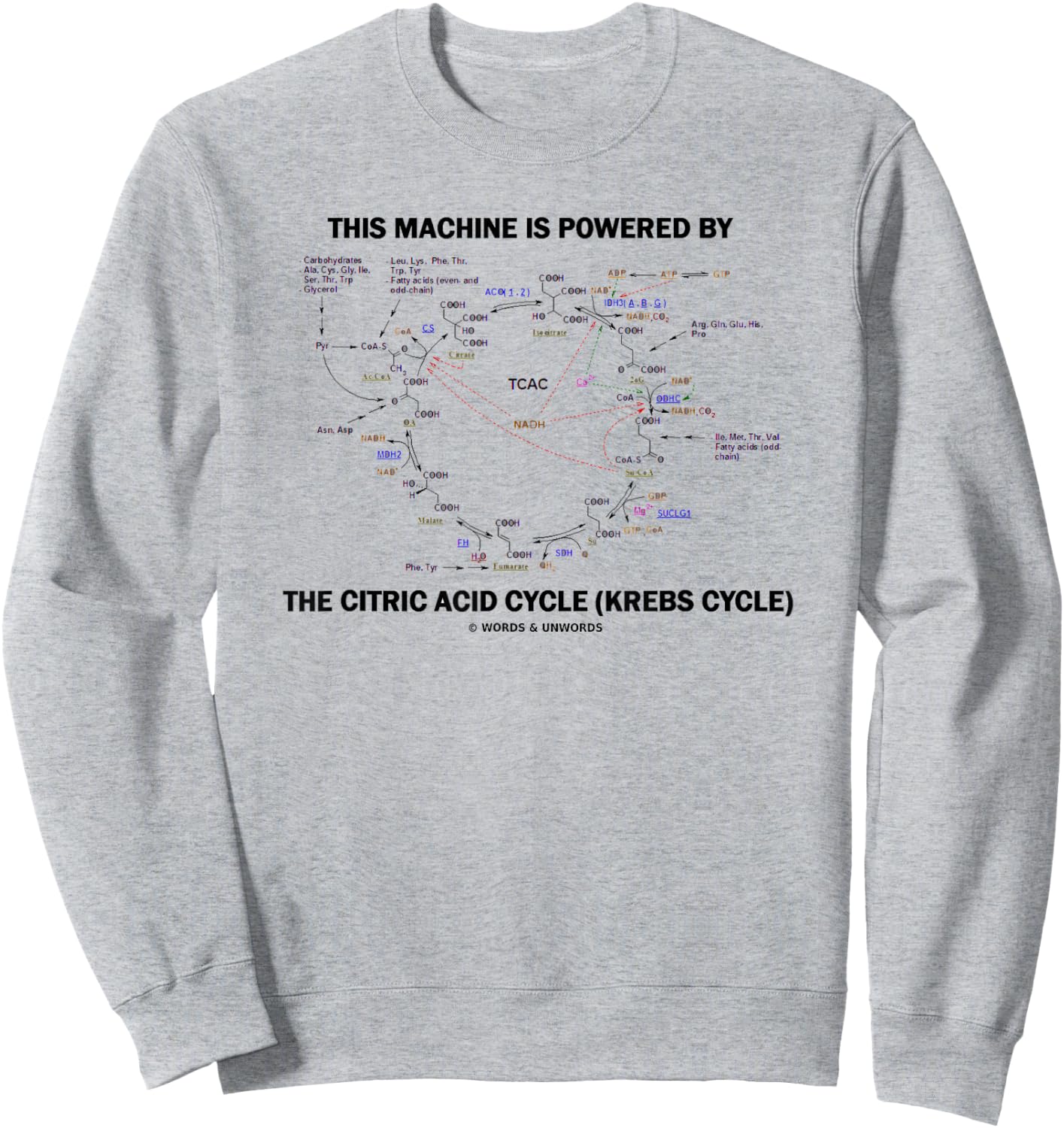 This Machine Is Powered By The Citric Acid Cycle Krebs Cycle Sweatshirt - Sweatshirt | Ash