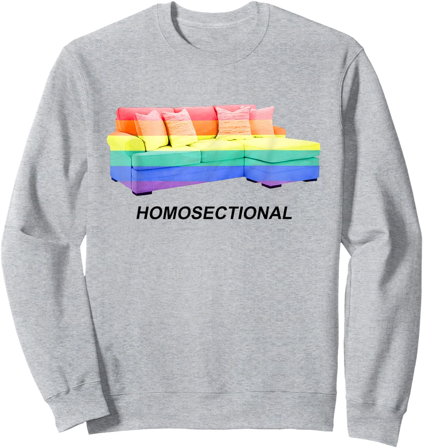 Homosectional LGBT Gay Pride Rainbow Flag Funny Saying Quote Sweatshirt - Sweatshirt | Ash