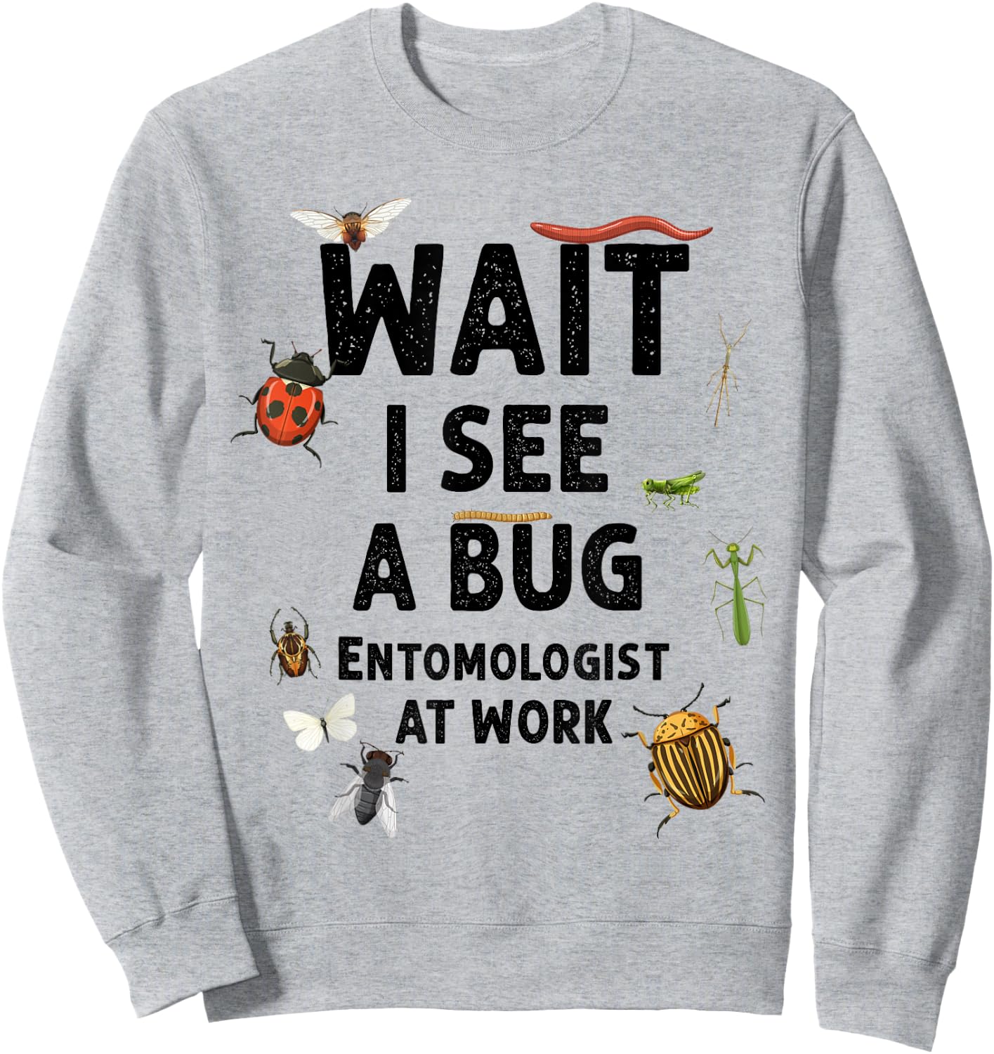 Kids Entomology Toddlers Wait I See A Bug Catchers Costume Sweatshirt - Sweatshirt | Ash