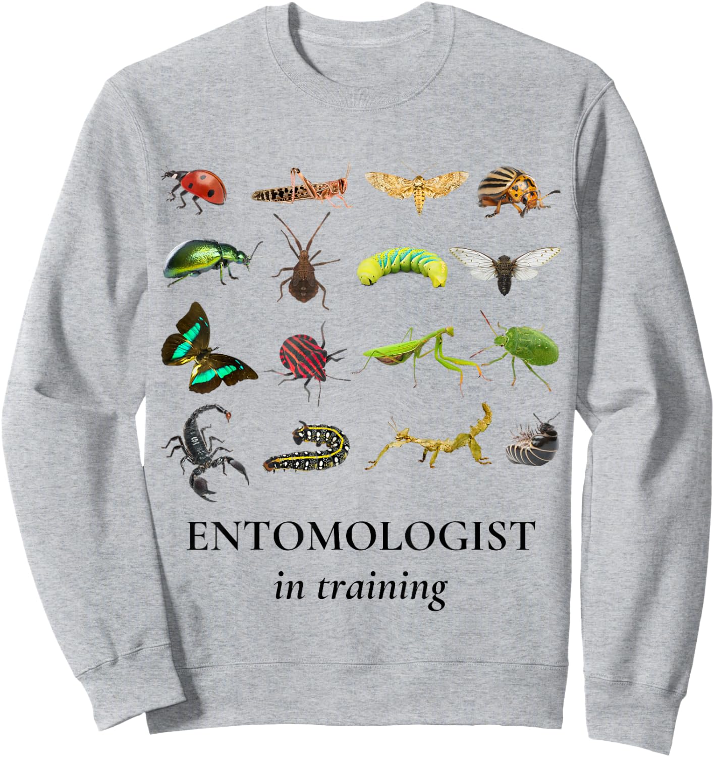 Bug Explorer Entomologist in Training Insects Kids Girl Boys Sweatshirt - Sweatshirt | Ash