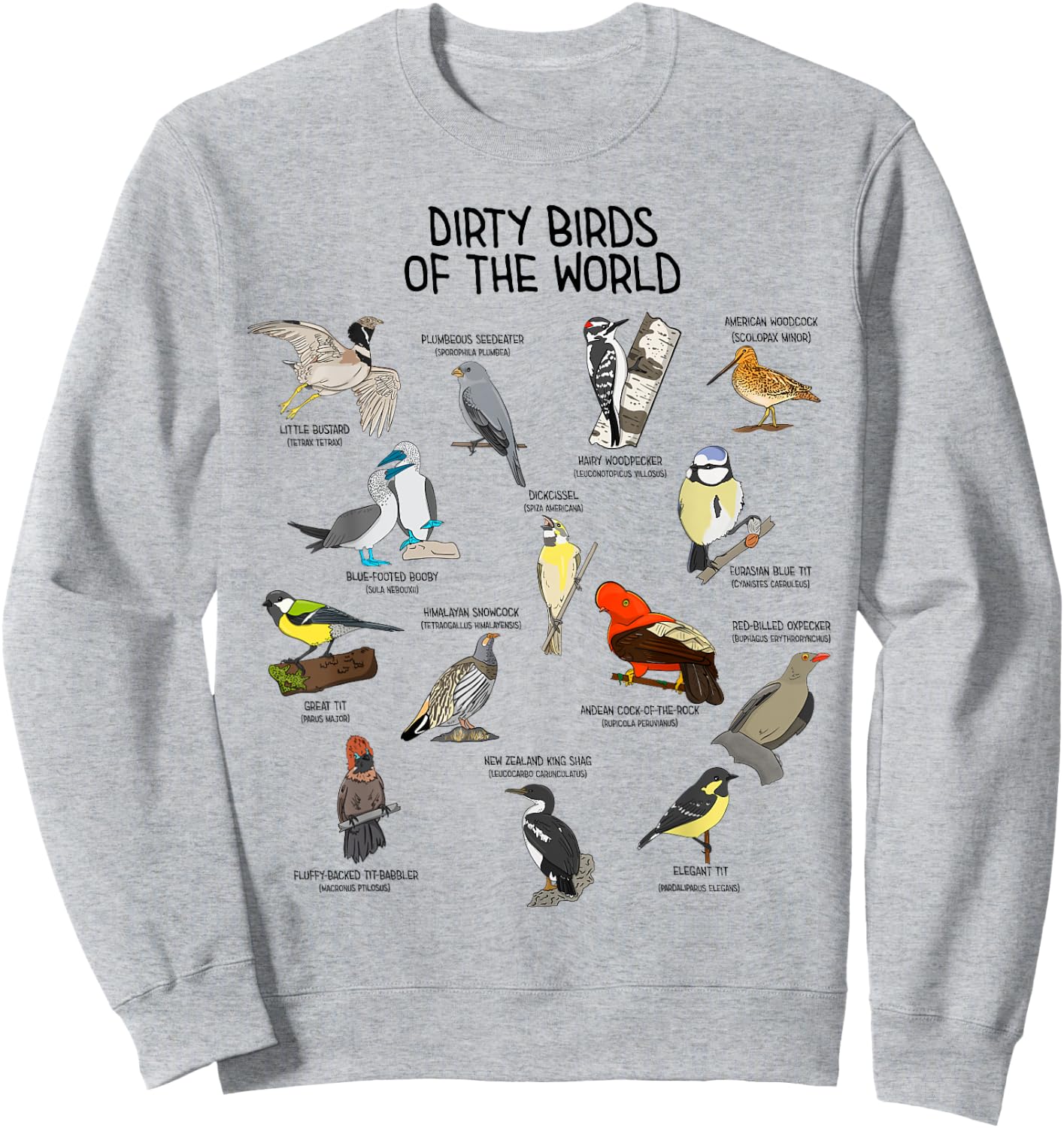 Bird Watching Dirty Birds Of The World Funny Birding Sweatshirt - Sweatshirt | Ash