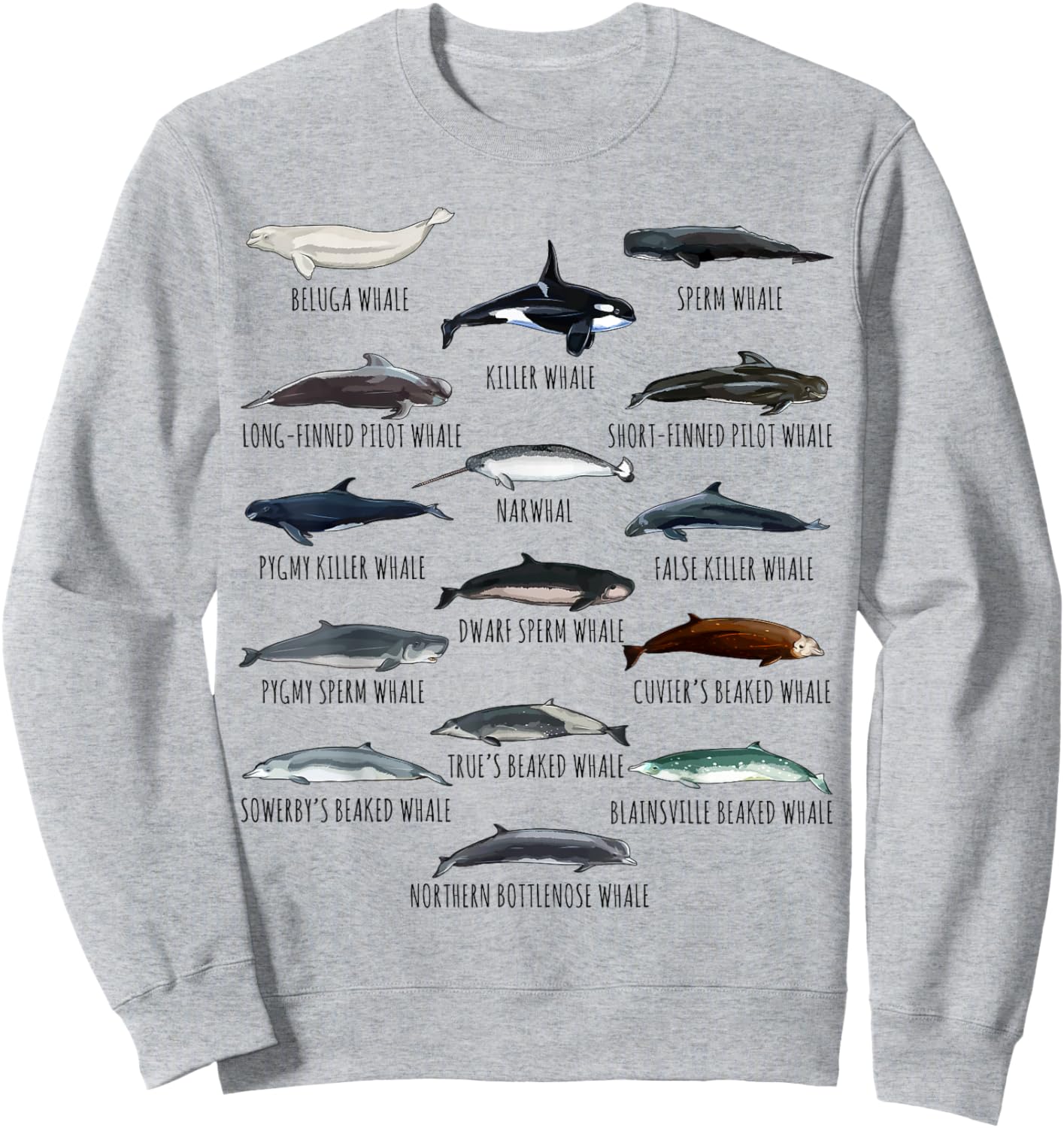 Whales Species Biology Different Types Of Whales Sweatshirt - Sweatshirt | Ash