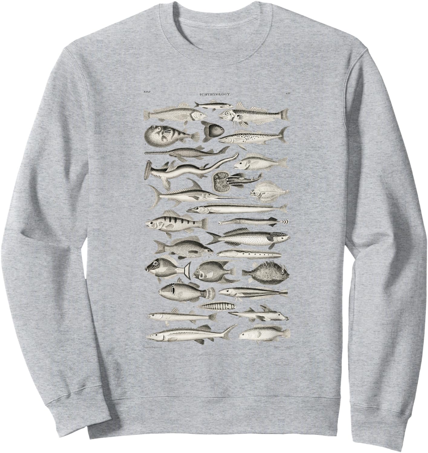 Ichthyology Fishes History Earth And Nature Sea Antique Art Sweatshirt - Sweatshirt | Ash