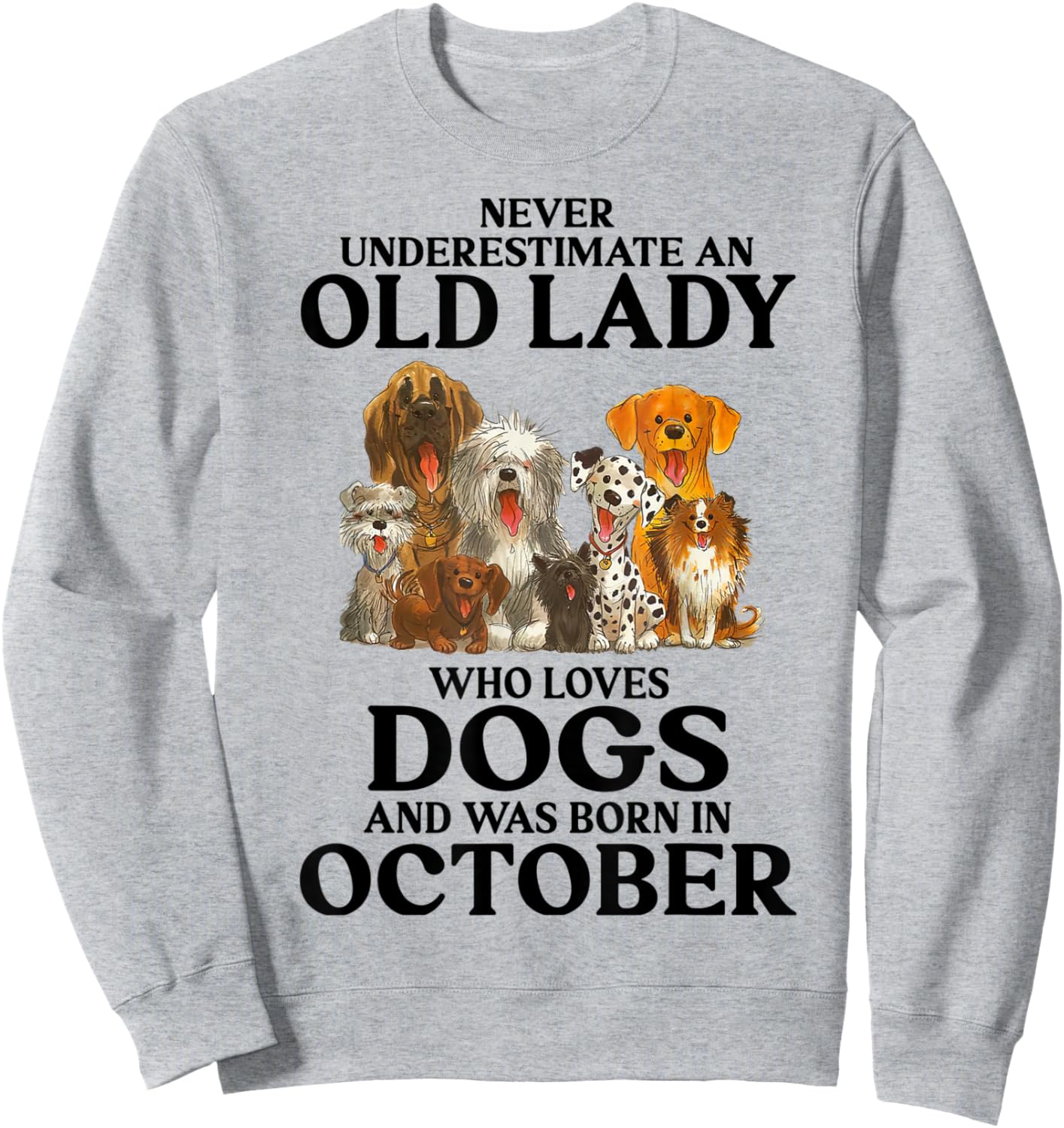 Never Underestimate An Old Lady Who Loves Dogs In October Sweatshirt - Sweatshirt | Ash