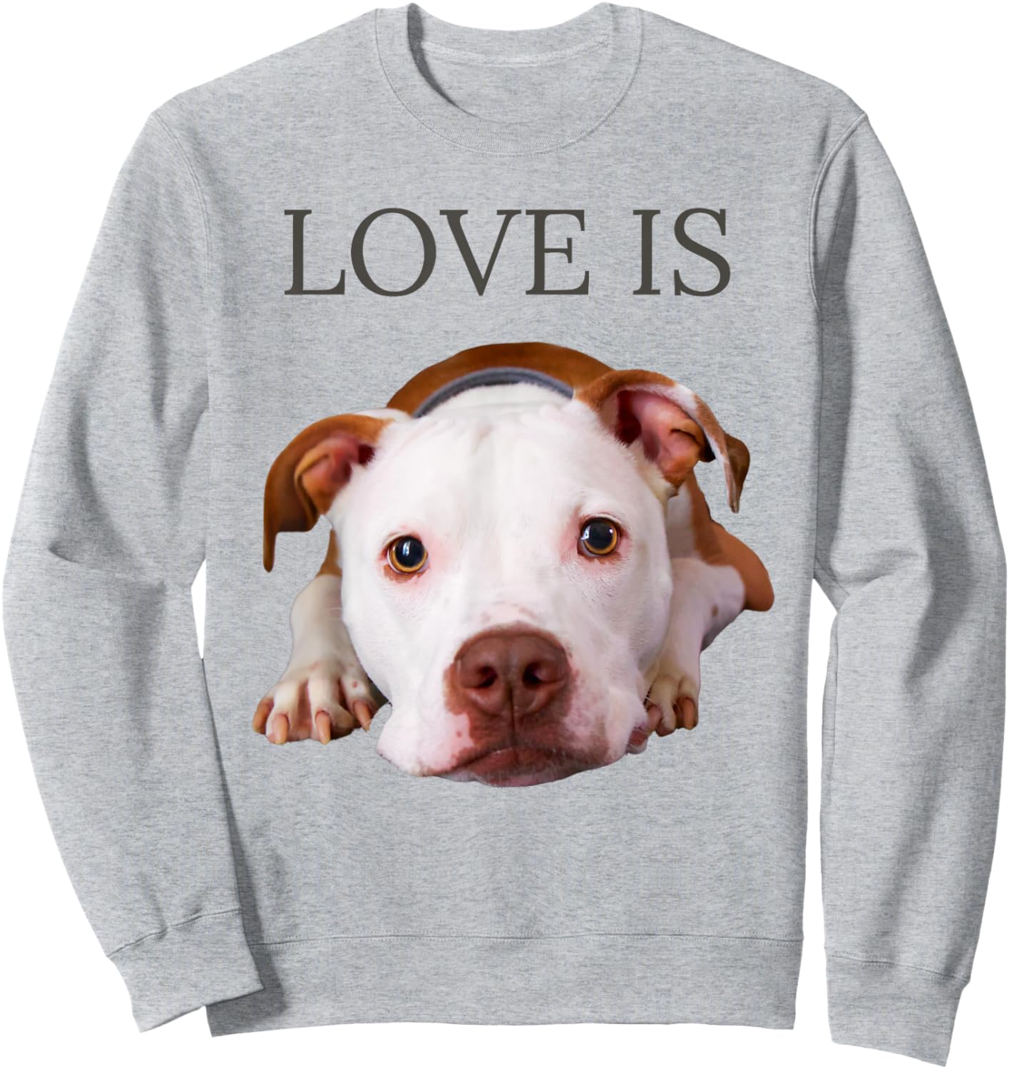 Pitbull Shirt Pittie Mom Dad Bullie Dog Women Men Love Sweatshirt - Sweatshirt | Ash