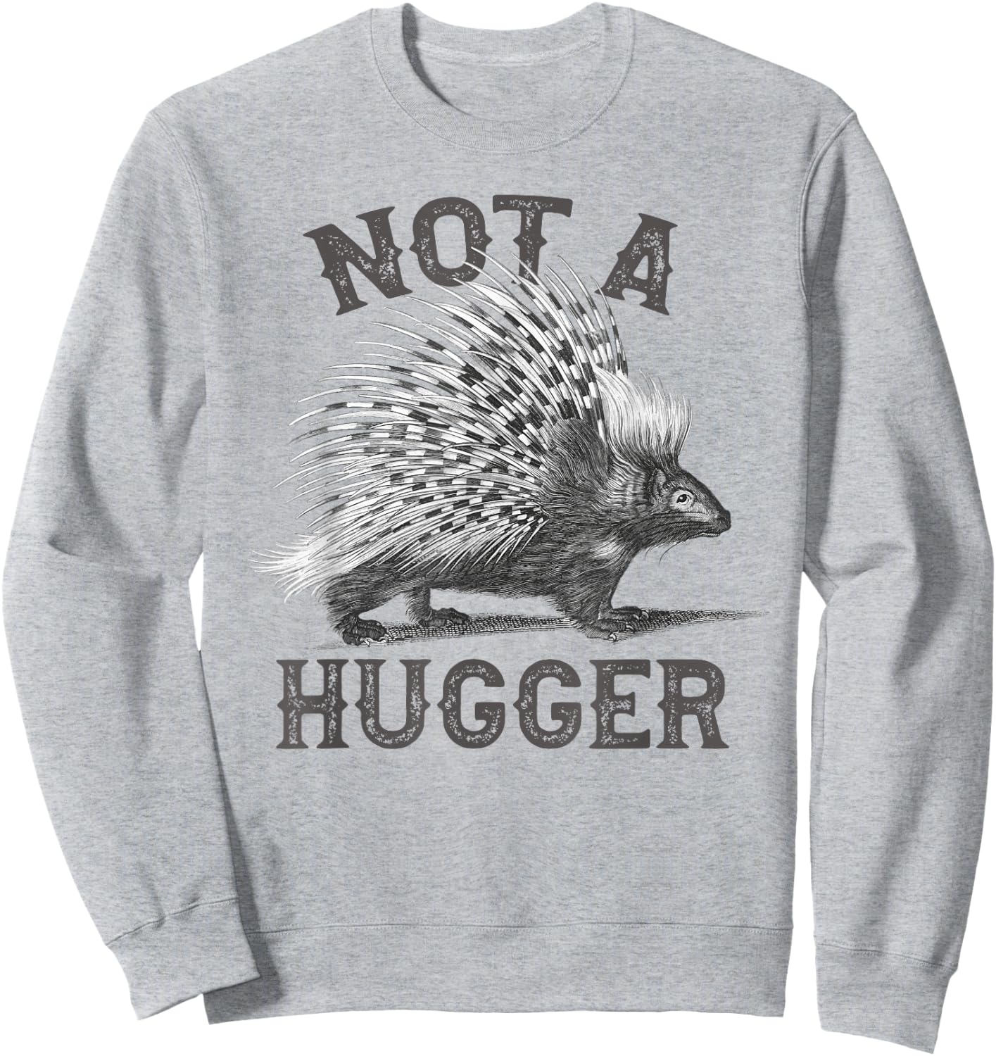 Not A Hugger, Funny Porcupine, Antisocial Joke Vintage Style Sweatshirt - Sweatshirt | Ash
