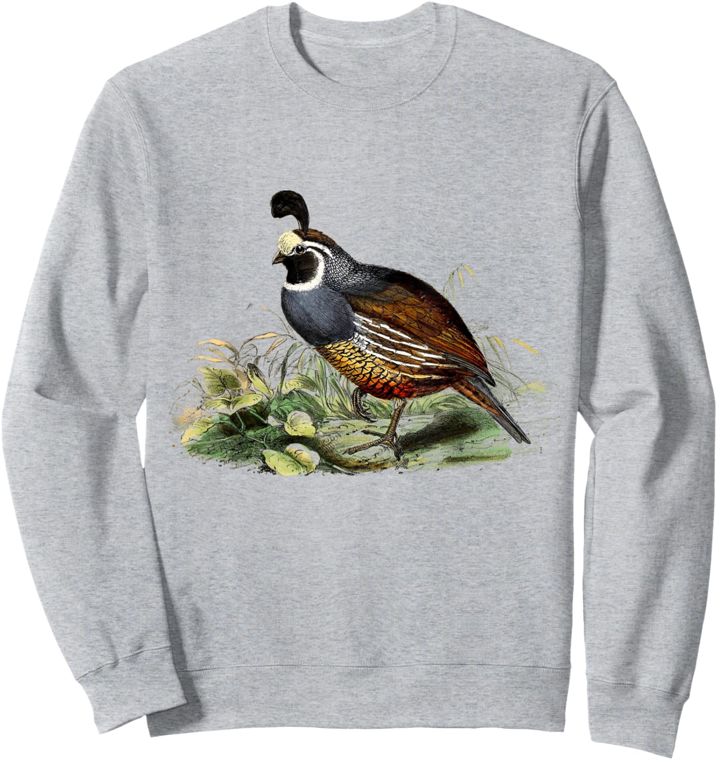 California Quail CA Quail Birder California Quail Sweatshirt - Sweatshirt | Ash