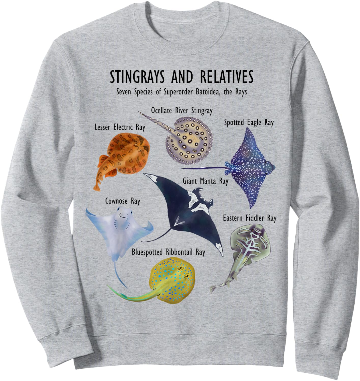 Stingray Species: Manta Ray, River Stingray, and More Sweatshirt - Sweatshirt | Ash