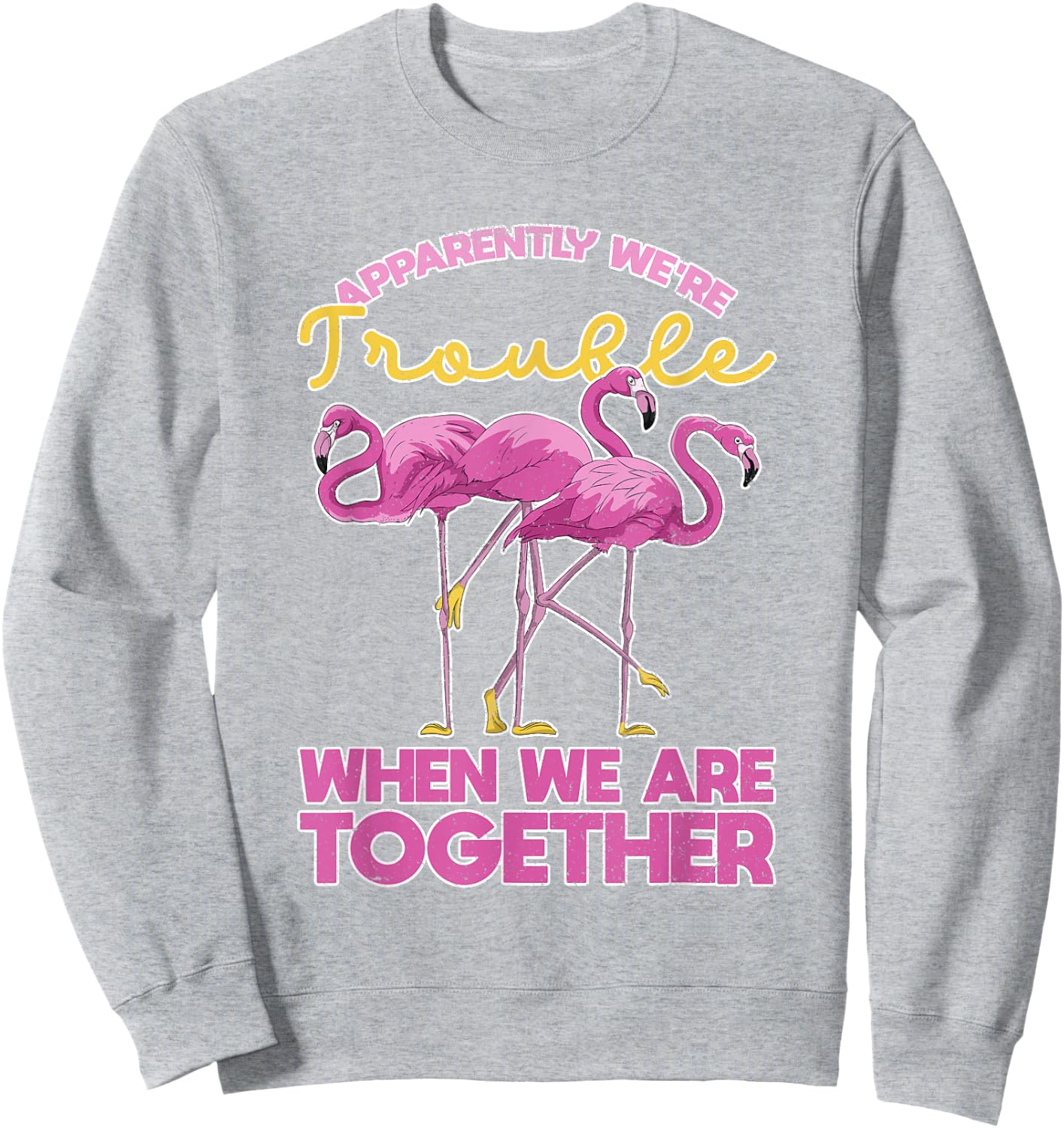 Apparently Were Trouble When We Are Together Funny Flamingo Sweatshirt - Sweatshirt | Ash