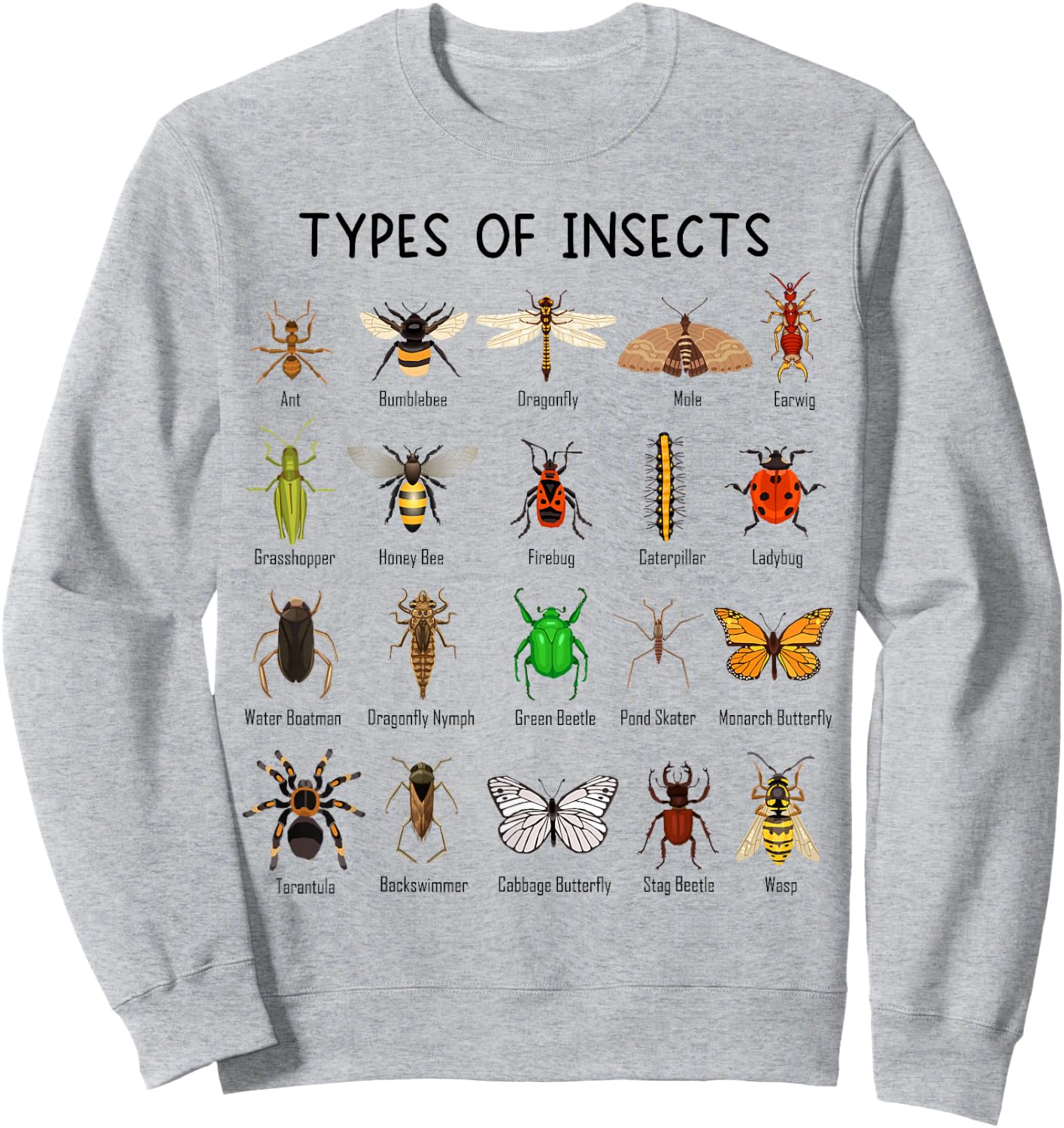 Types of Insects Science Lovers Sweatshirt - Sweatshirt | Ash